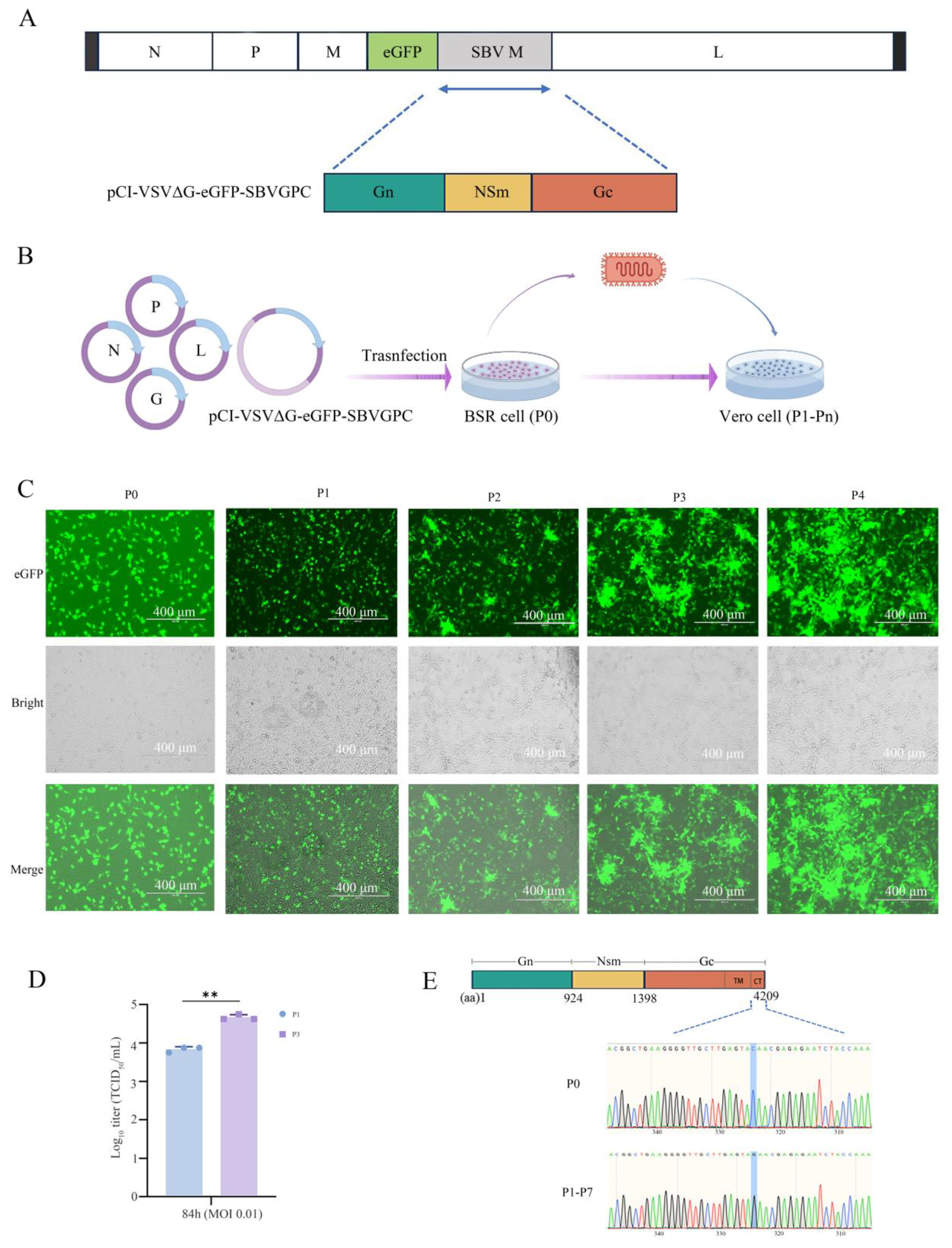 Vetsci 12 00809 g001 Vetsci 12 00809 g001