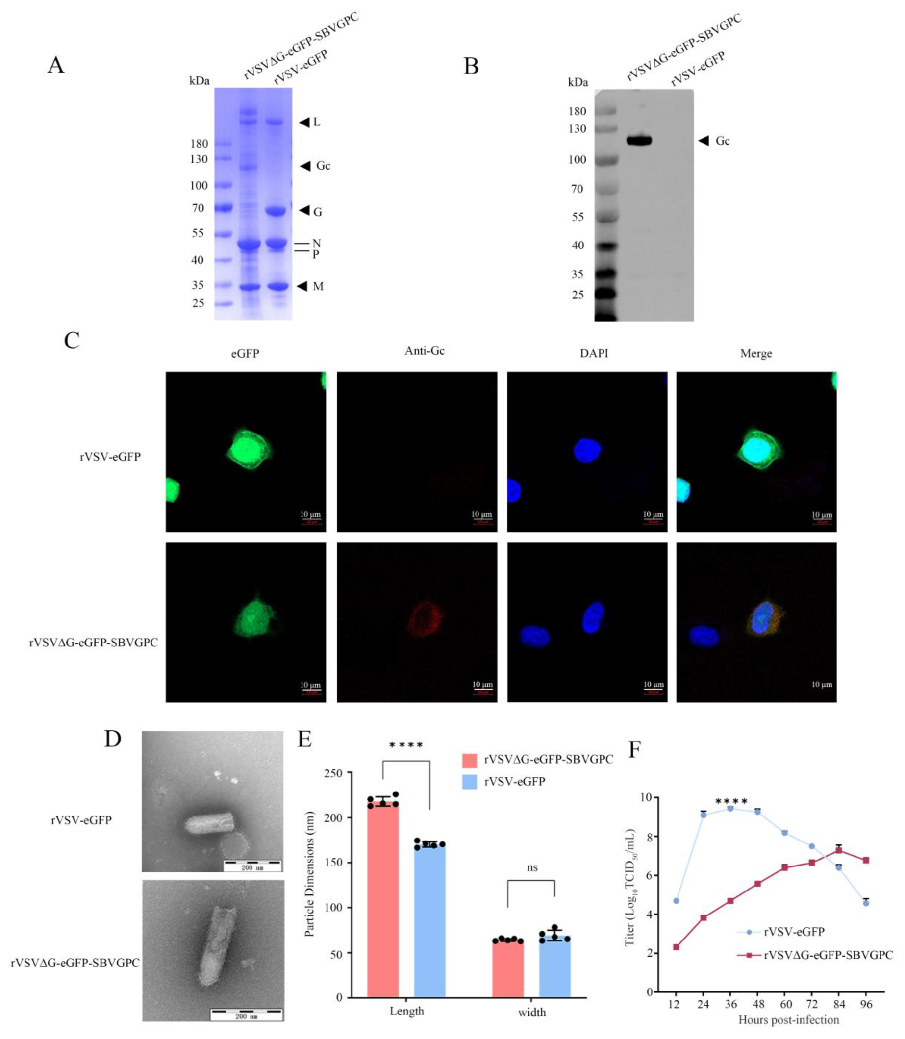 Vetsci 12 00809 g002 Vetsci 12 00809 g002