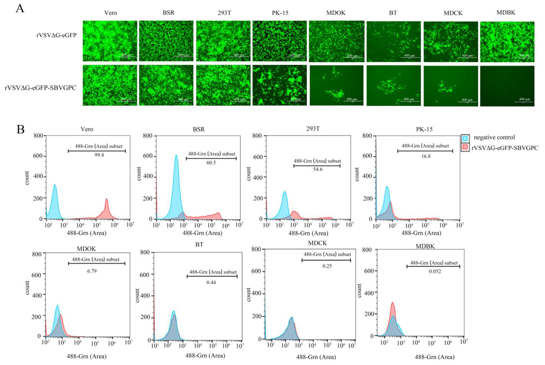 Vetsci 12 00809 g003 Vetsci 12 00809 g003