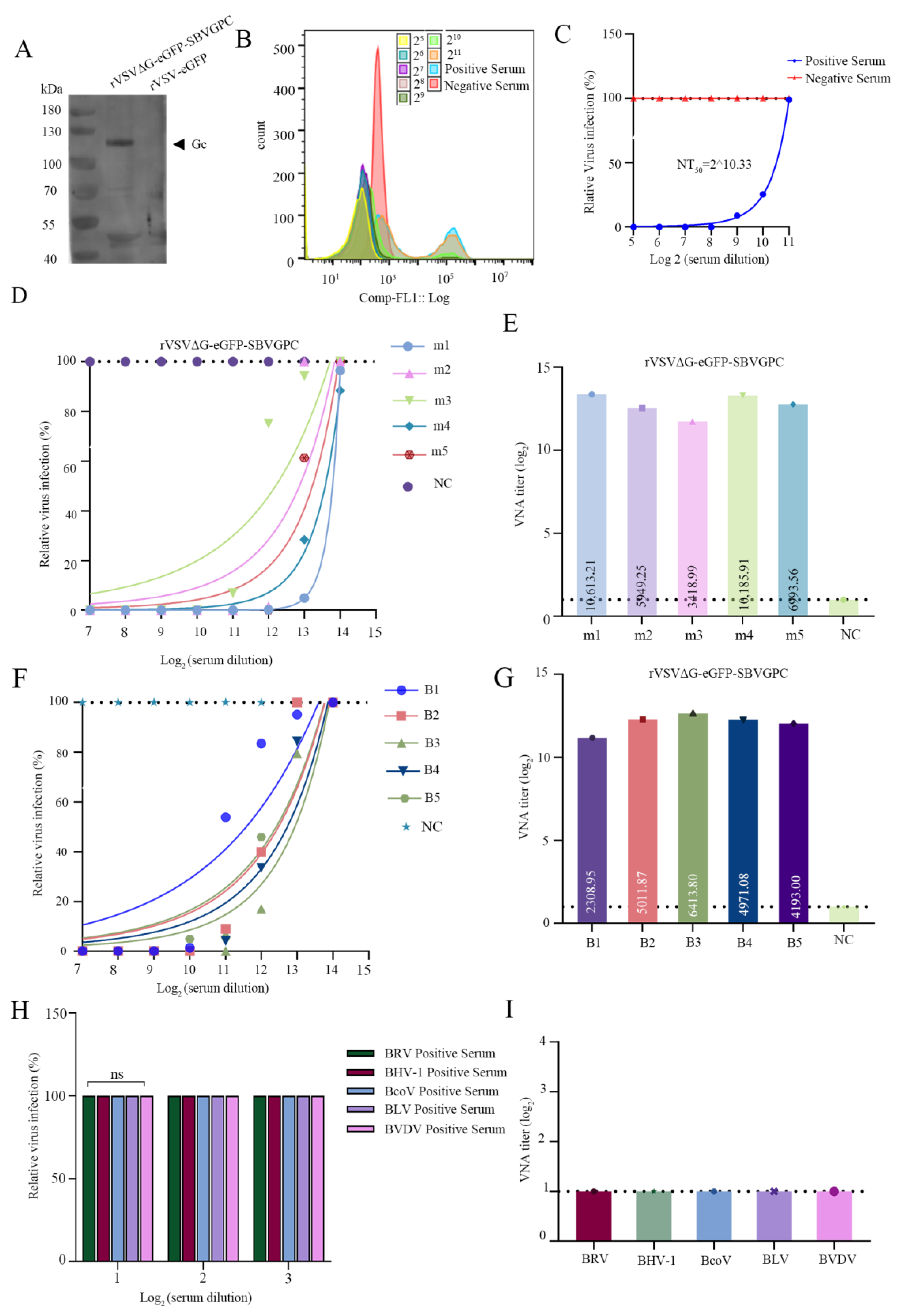 Vetsci 12 00809 g004 Vetsci 12 00809 g004
