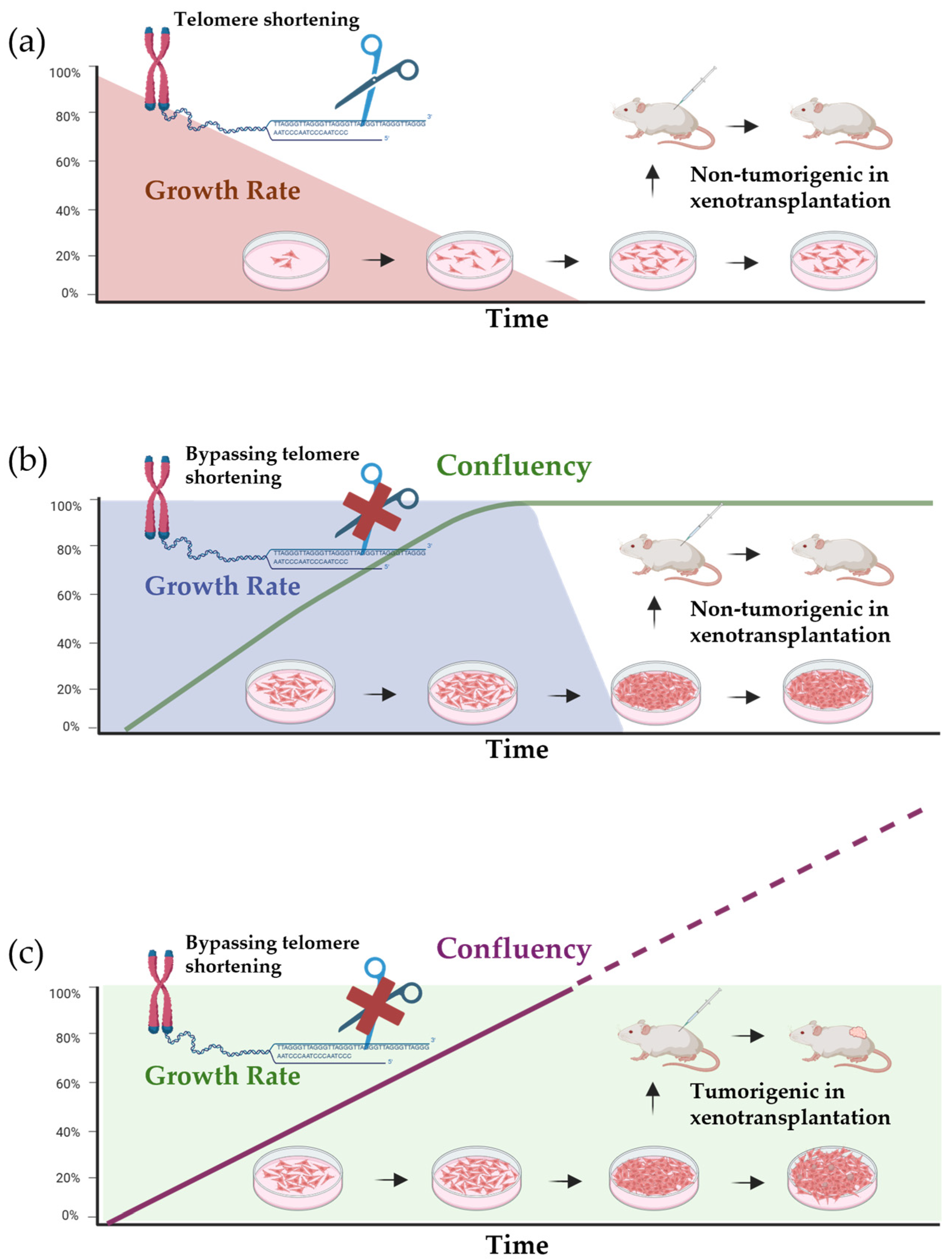 Vetsci 12 00815 g001