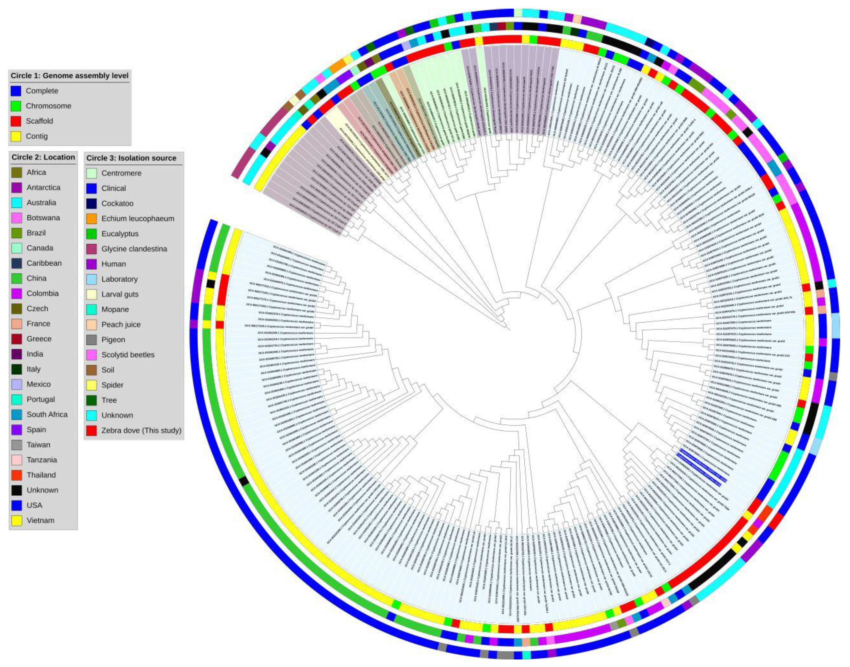 Vetsci 12 00827 g003 Vetsci 12 00827 g003