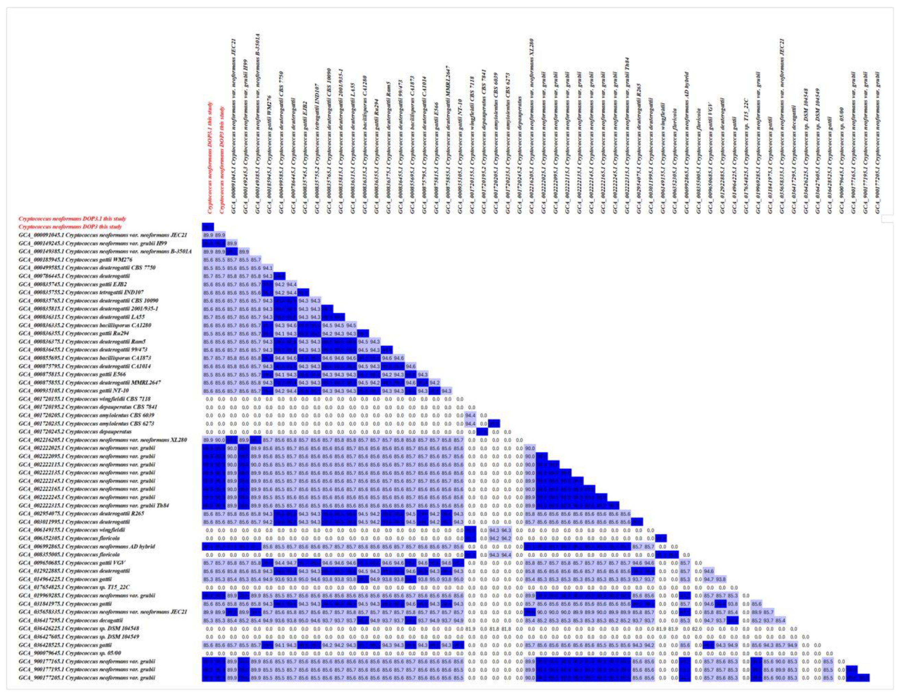 Vetsci 12 00827 g004 Vetsci 12 00827 g004