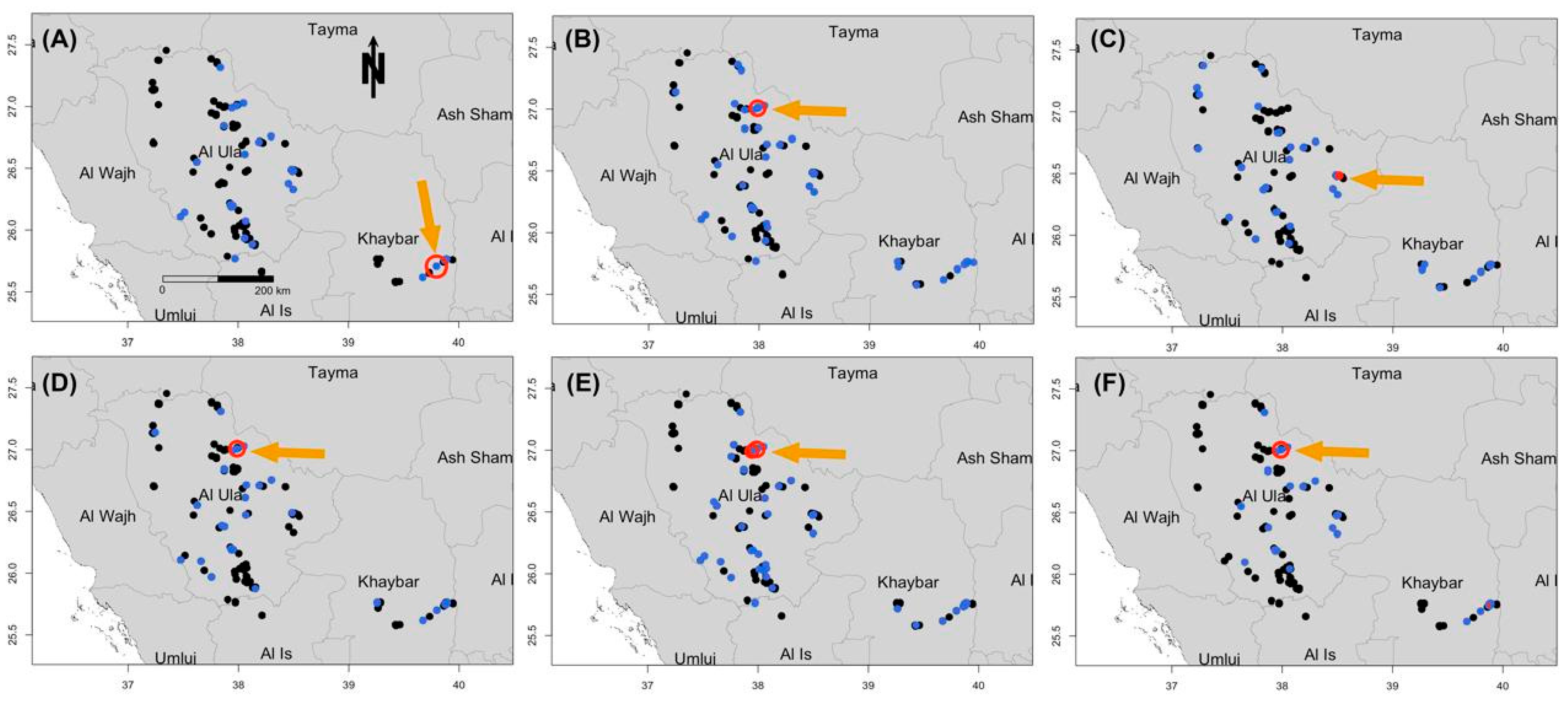 Vetsci 12 00836 g004