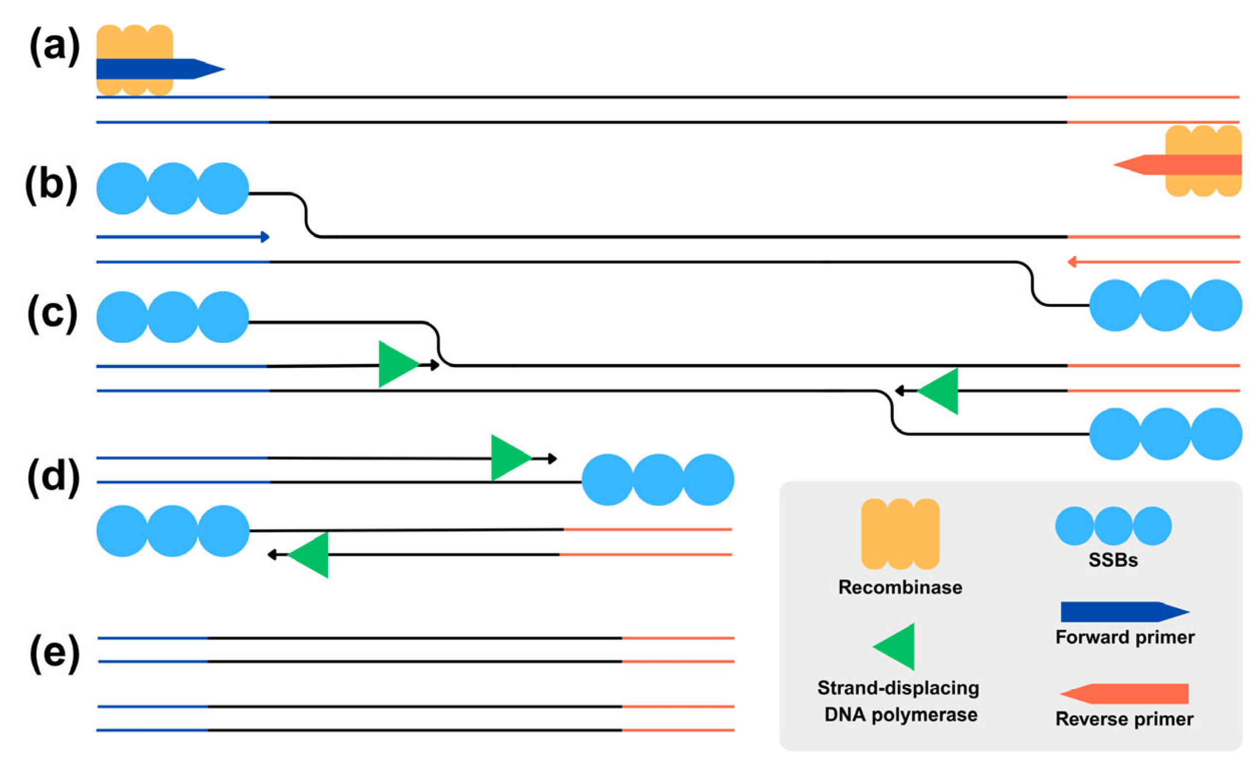 Vetsci 12 00845 g001