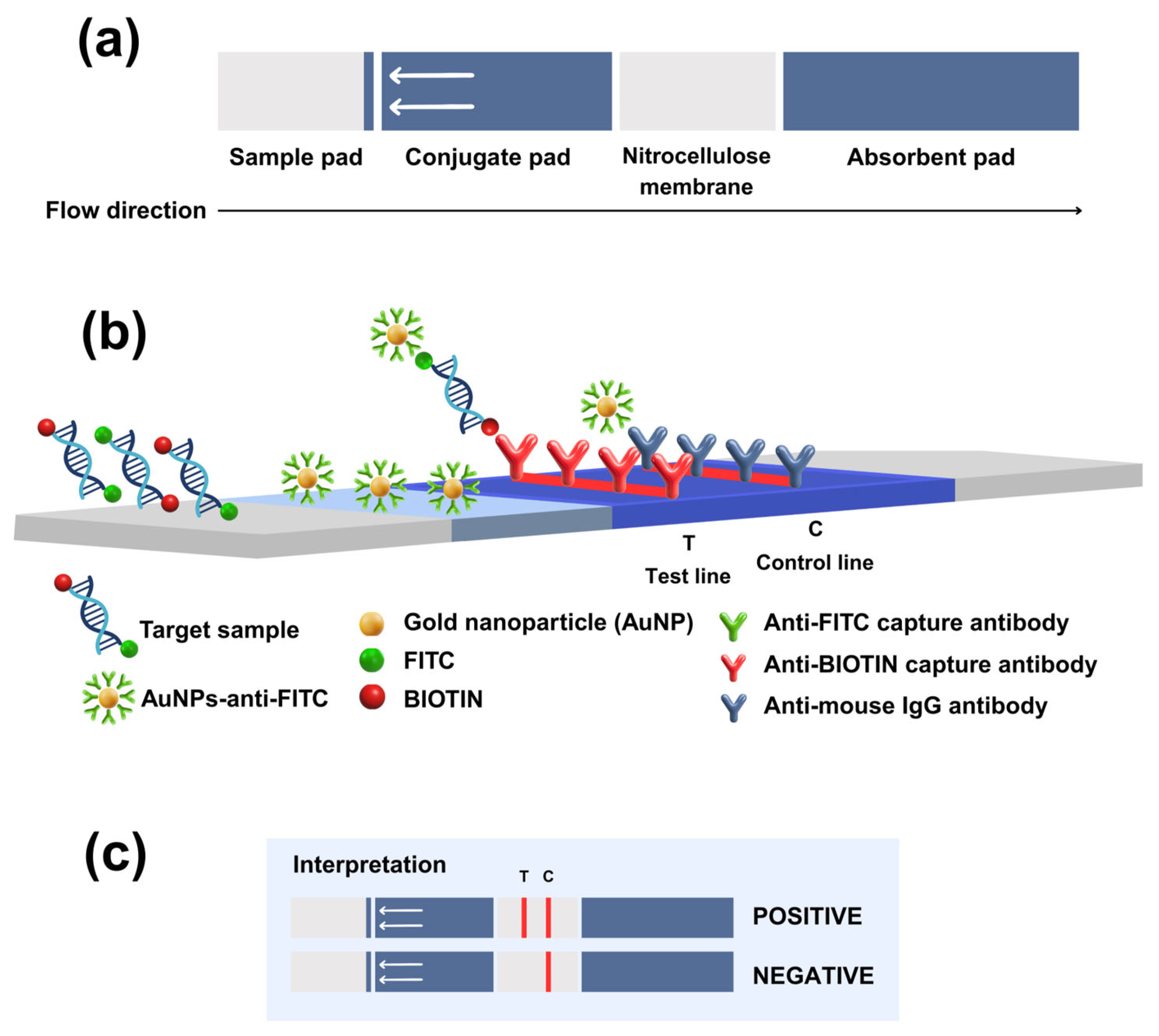 Vetsci 12 00845 g002