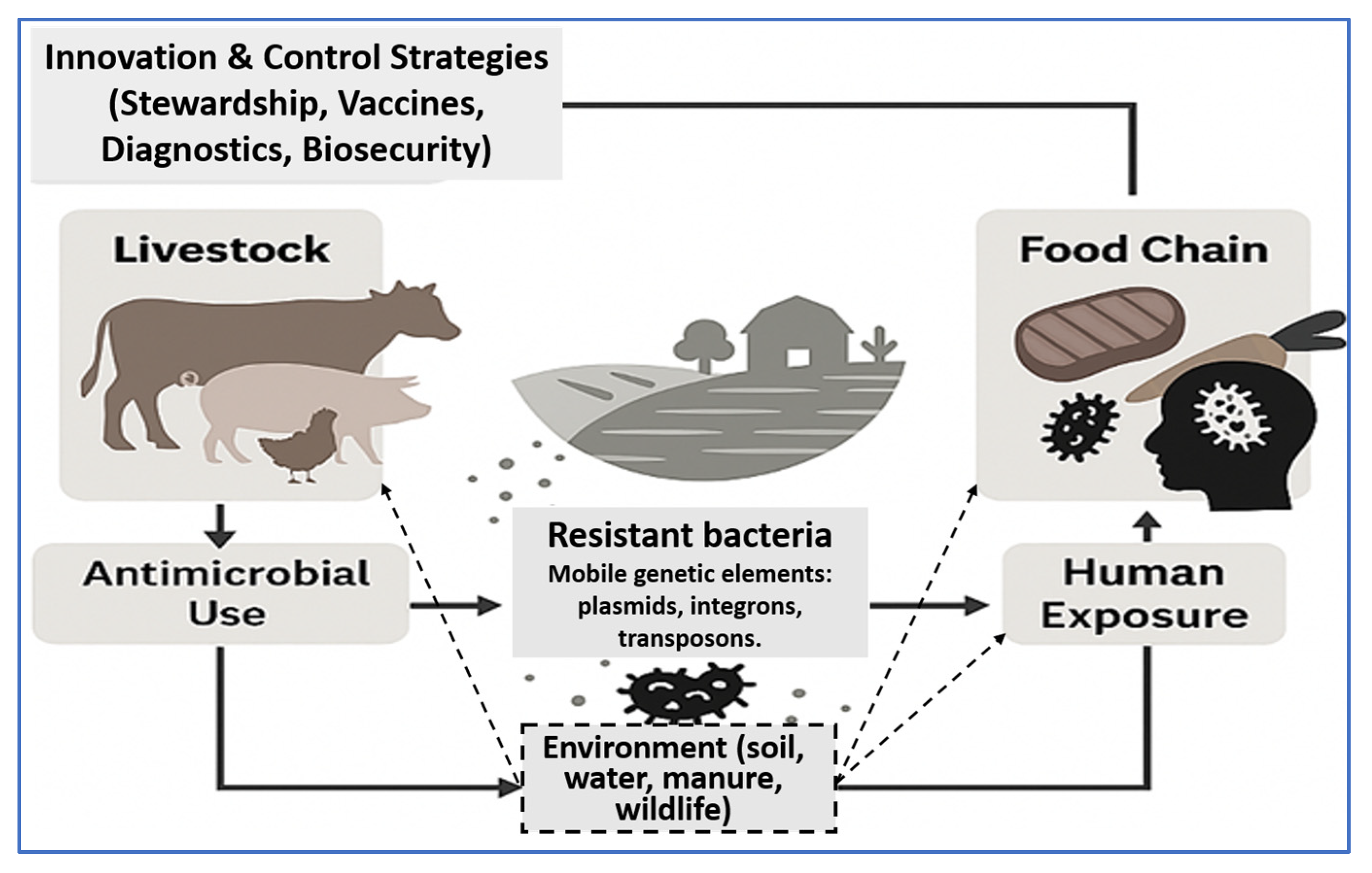 Vetsci 12 00862 g001 Vetsci 12 00862 g001
