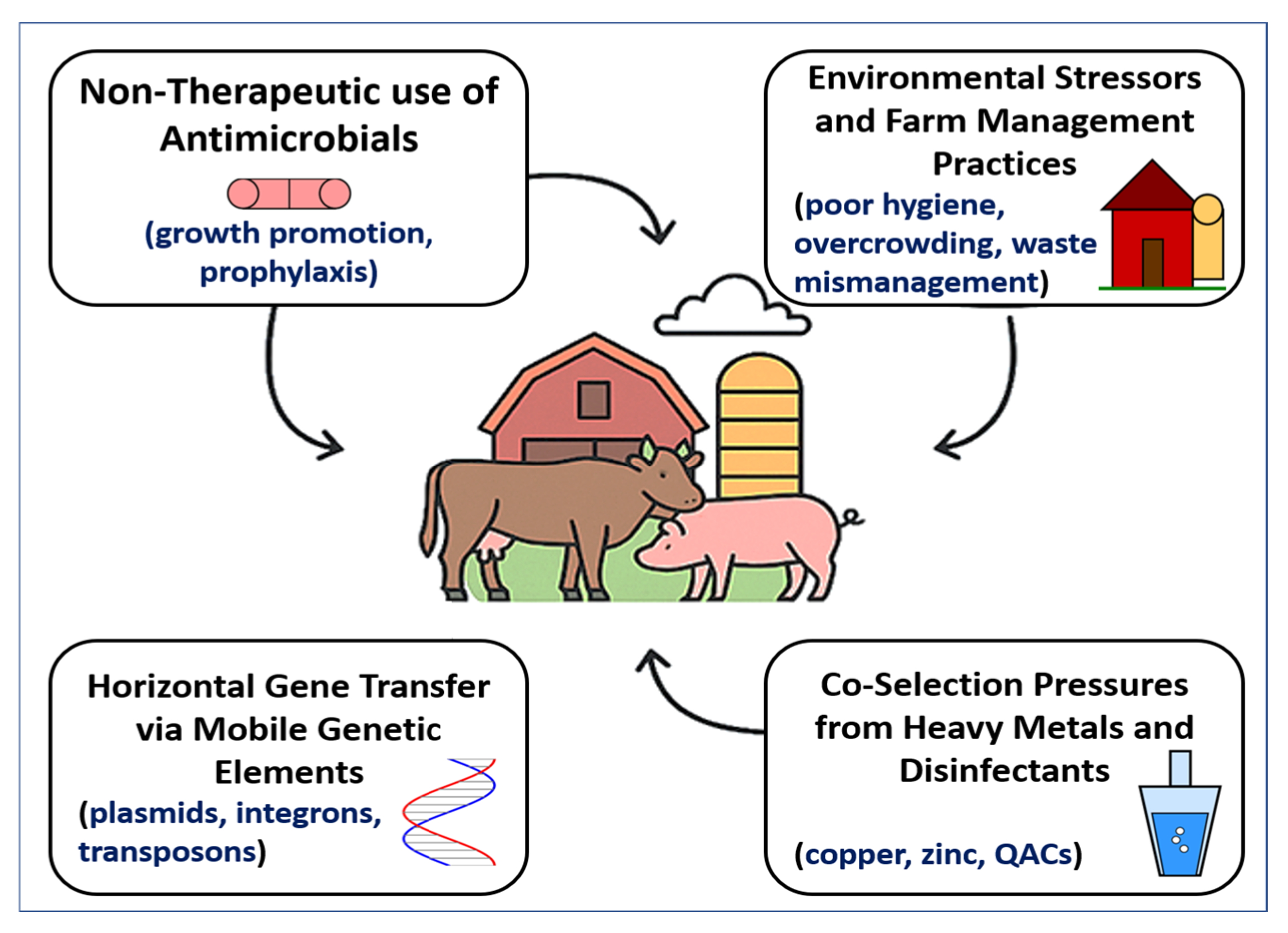Vetsci 12 00862 g002 Vetsci 12 00862 g002