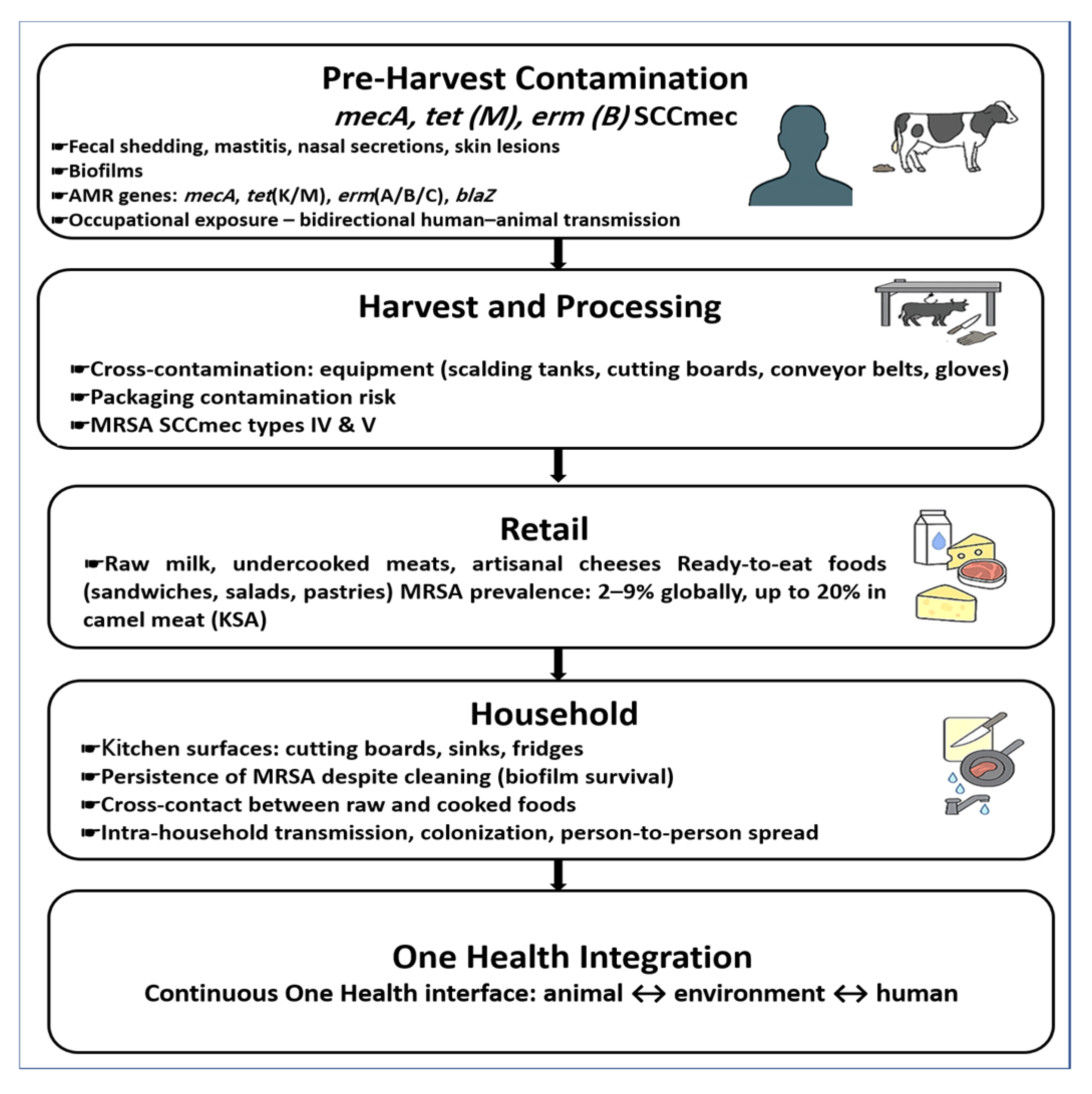 Vetsci 12 00862 g003 Vetsci 12 00862 g003