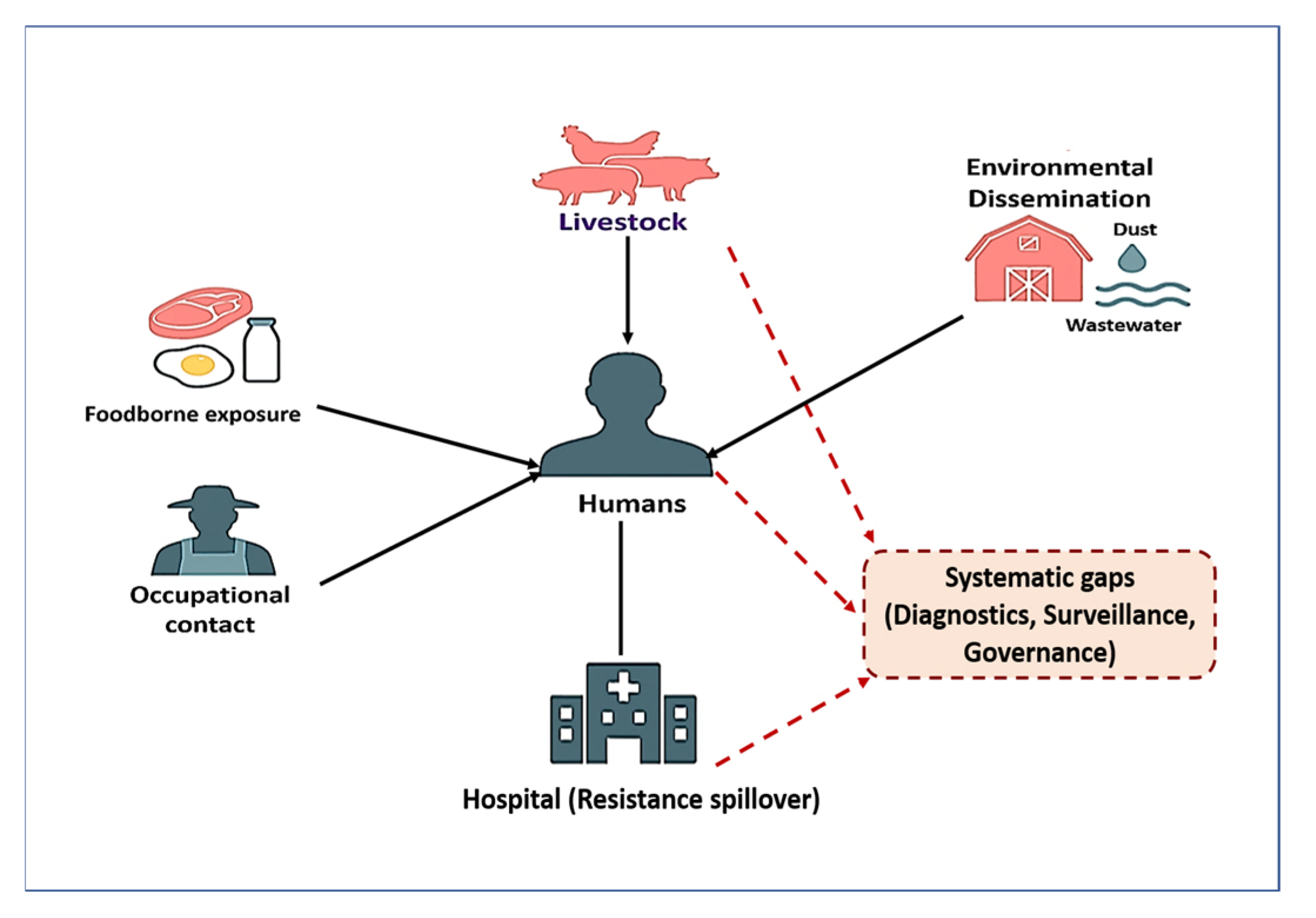 Vetsci 12 00862 g005 Vetsci 12 00862 g005