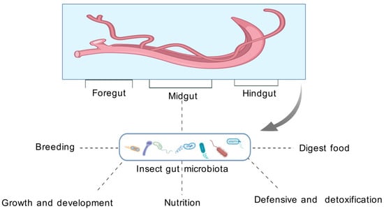 Vetsci 12 00866 g001