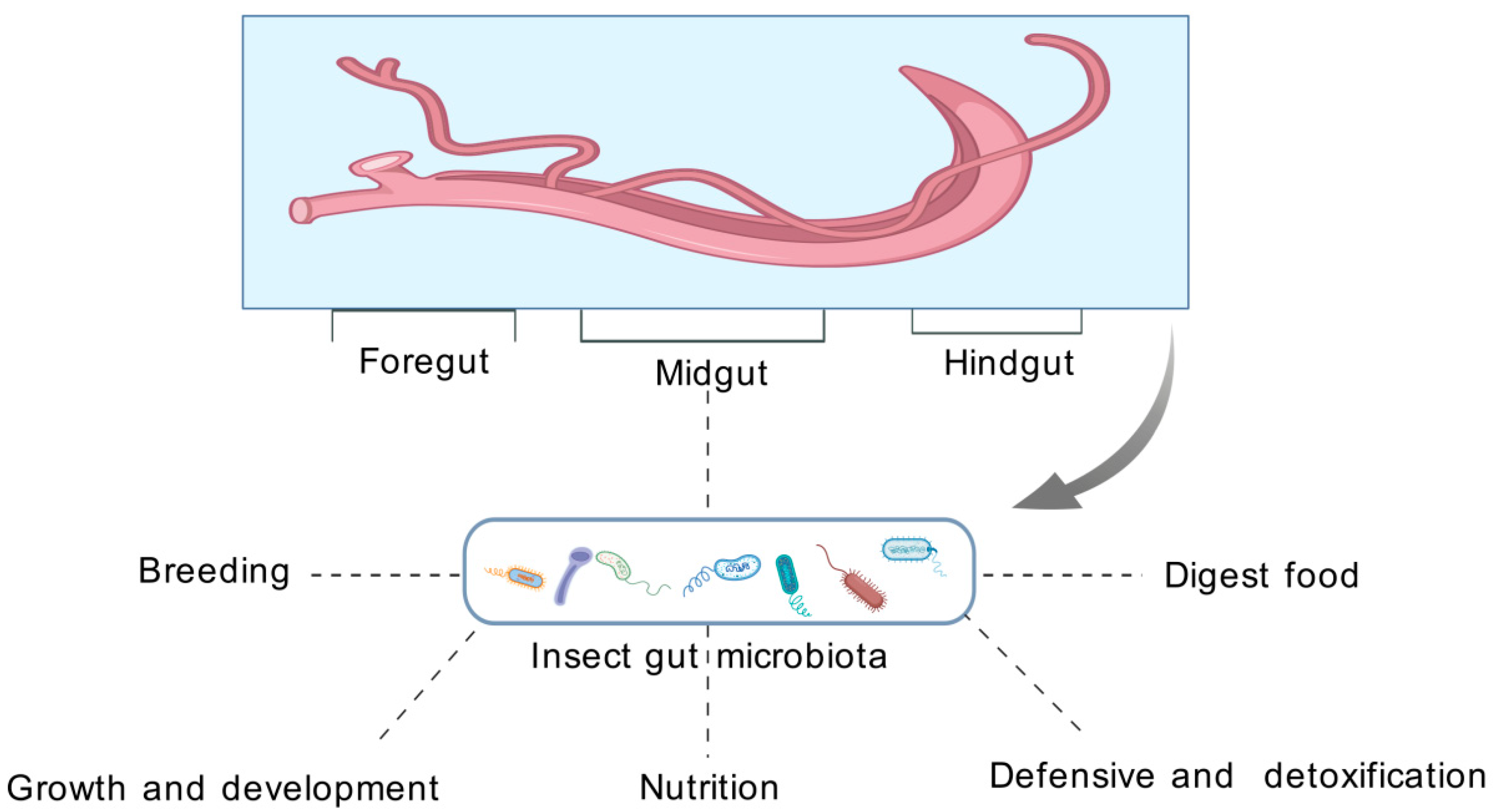 Vetsci 12 00866 g001 Vetsci 12 00866 g001