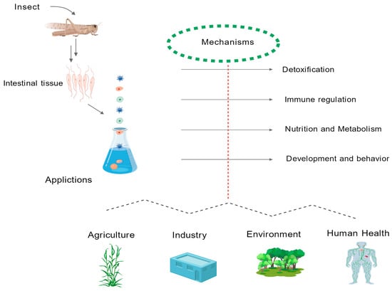 Vetsci 12 00866 g003
