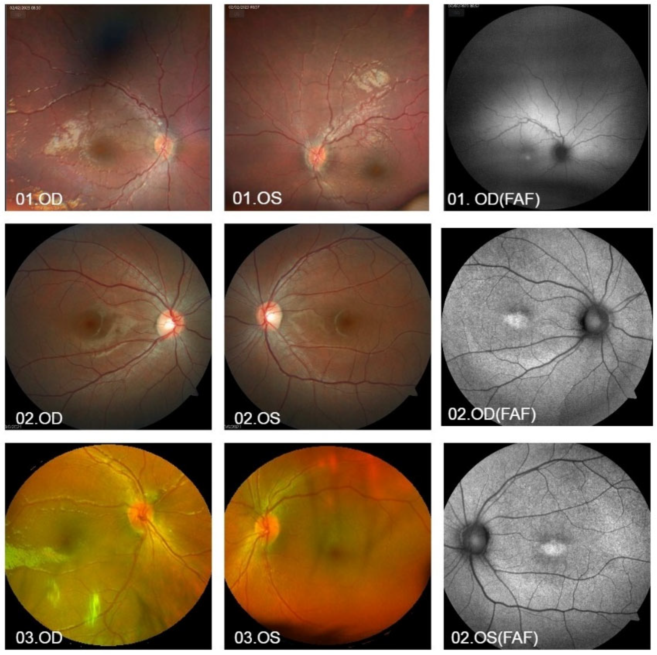 Vetsci 12 00879 g001 Vetsci 12 00879 g001