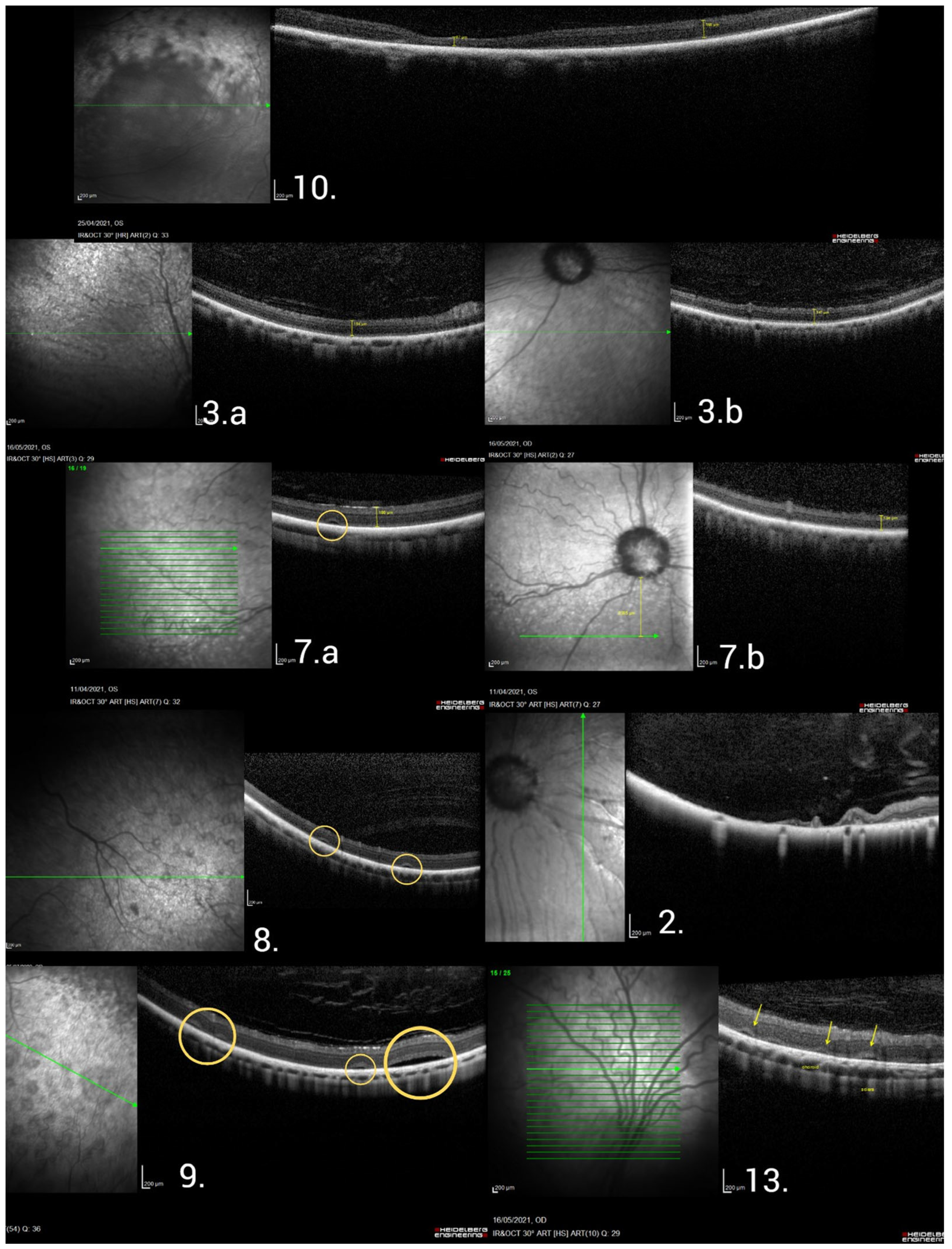 Vetsci 12 00879 g004 Vetsci 12 00879 g004
