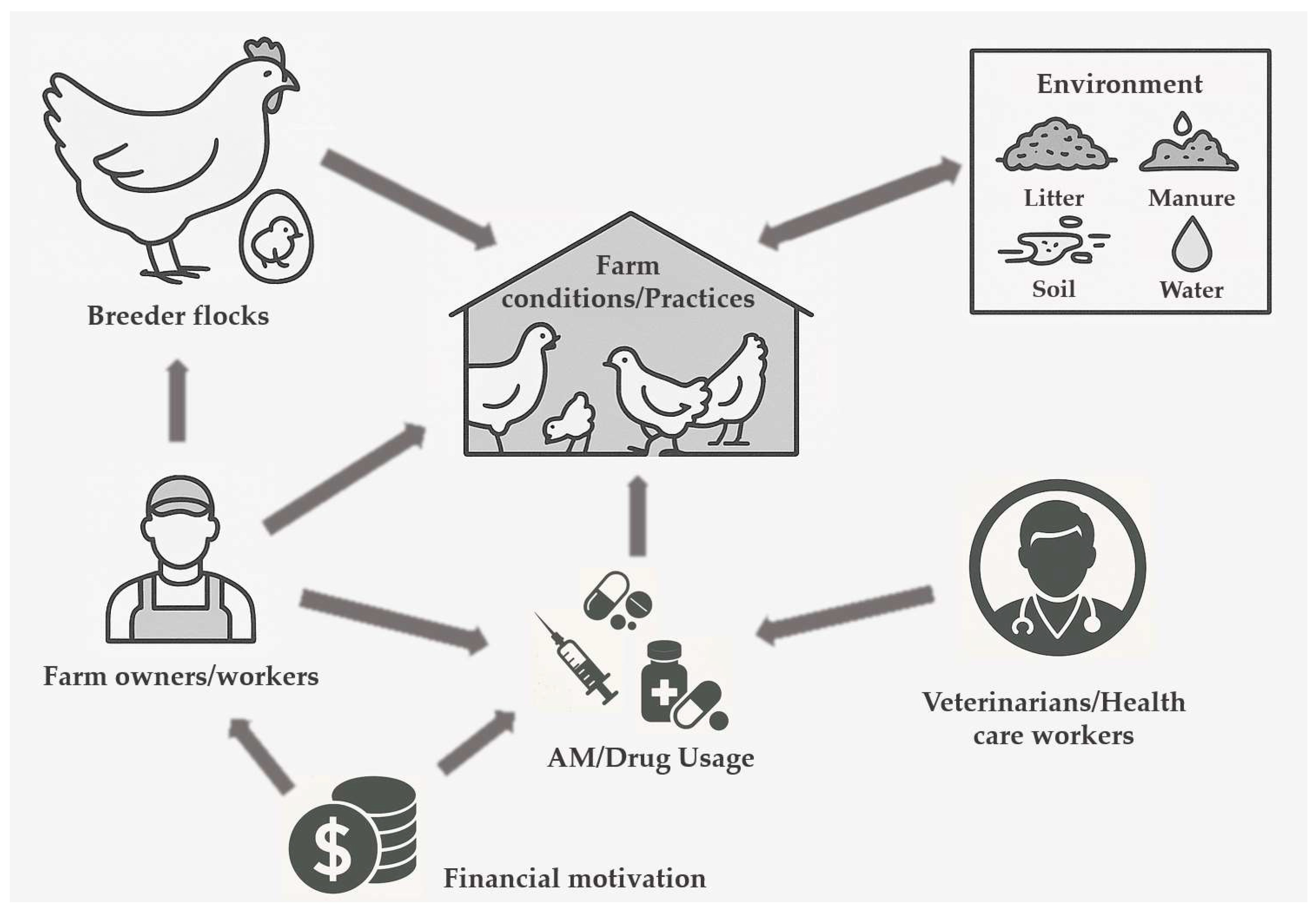 Vetsci 12 00881 g003 Vetsci 12 00881 g003