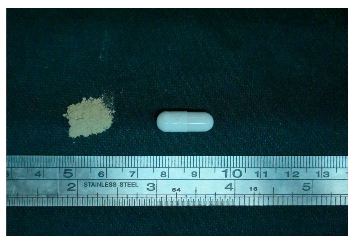 Vetsci 12 00909 g001