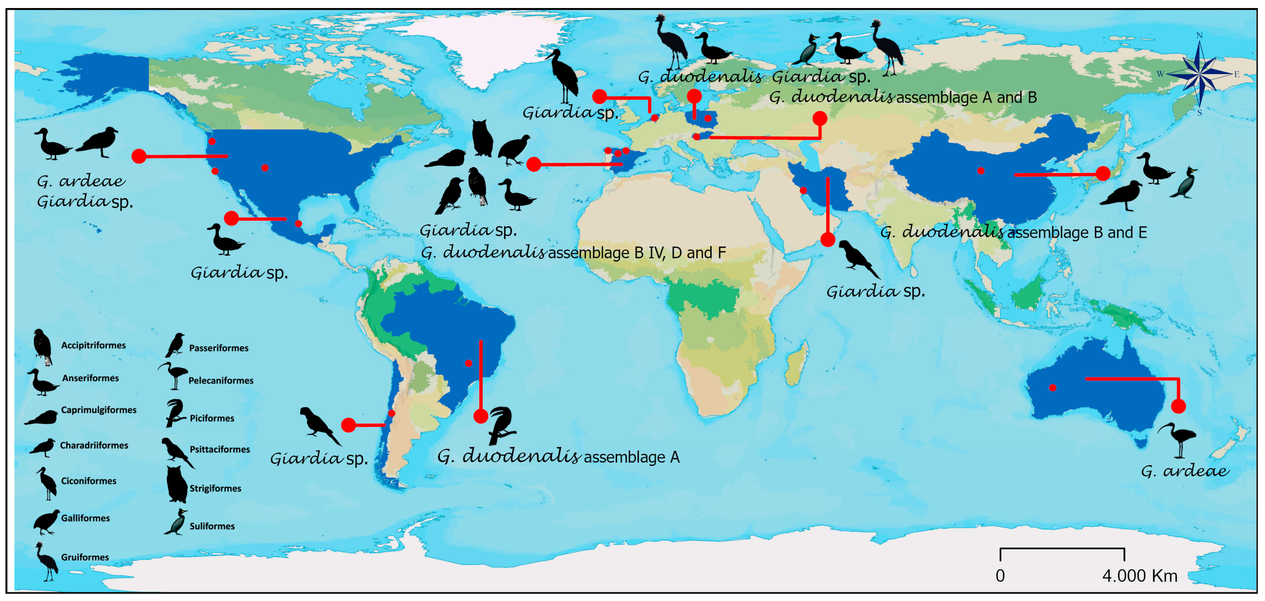 Vetsci 12 00911 g003