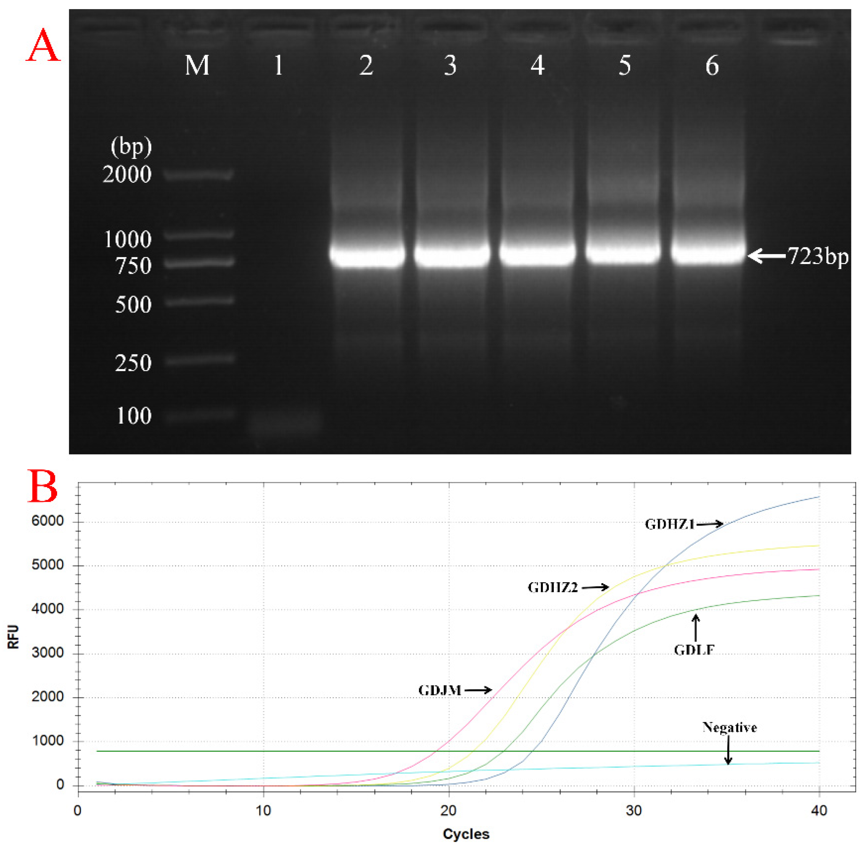 Vetsci 12 00972 g001