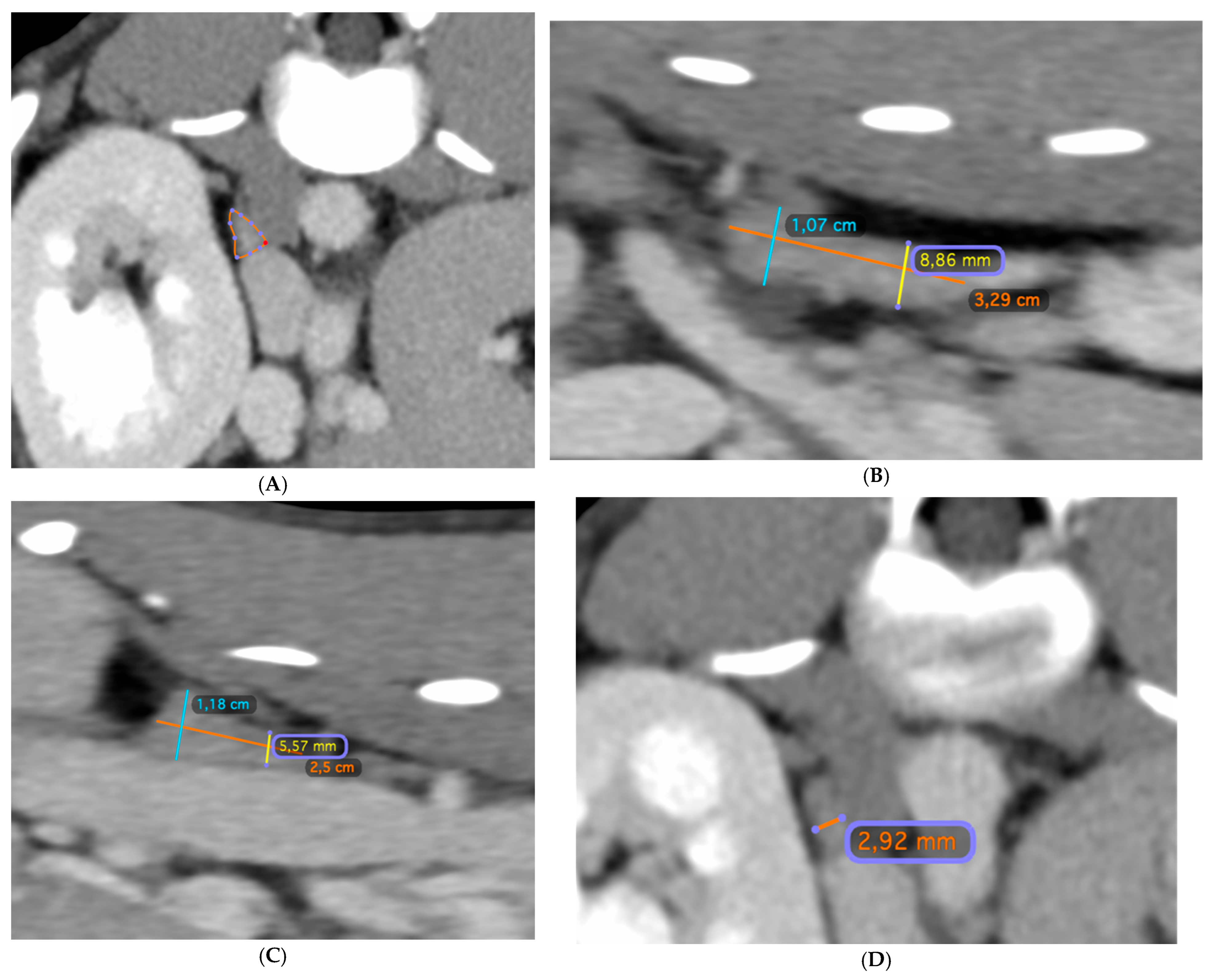 Vetsci 12 00974 g001