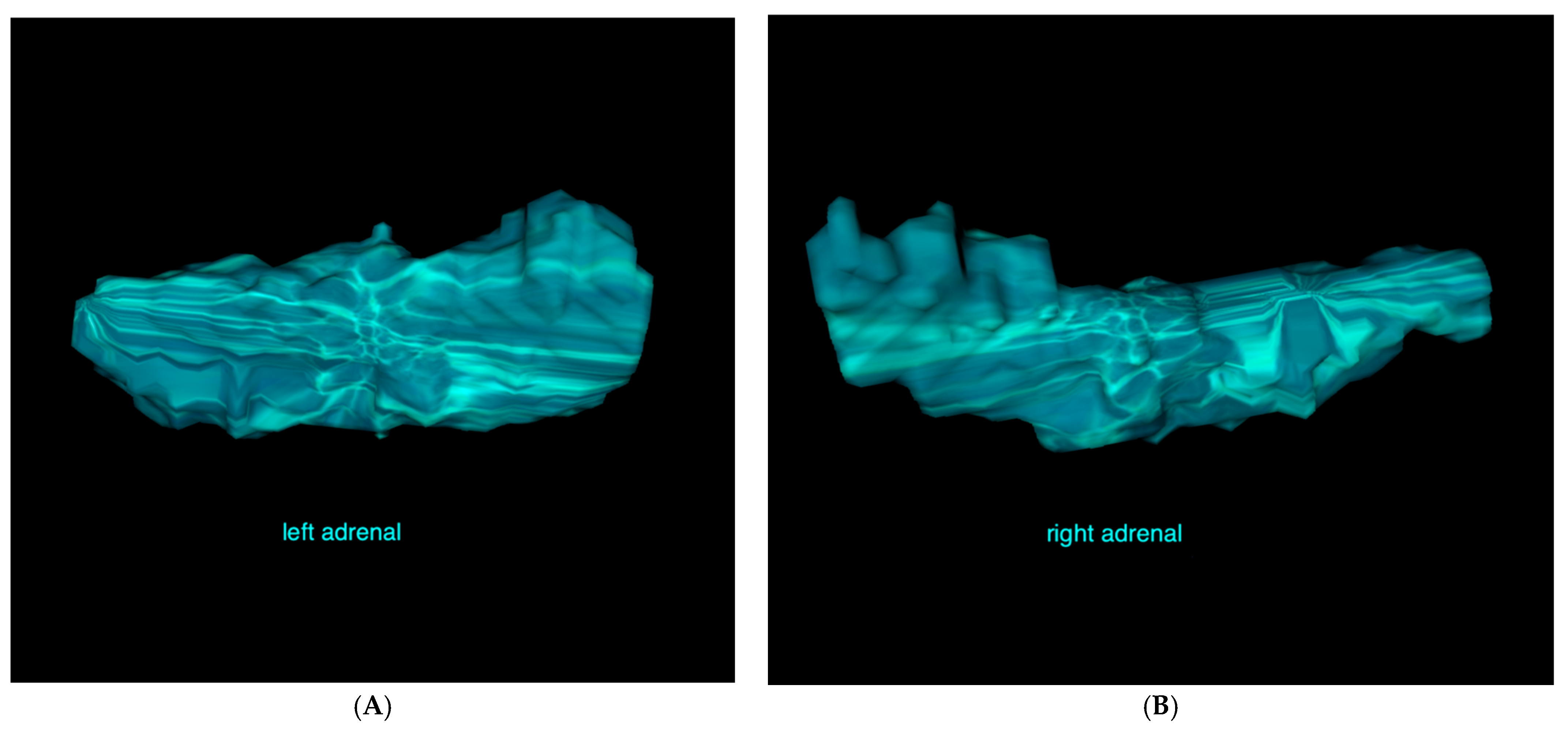 Vetsci 12 00974 g002