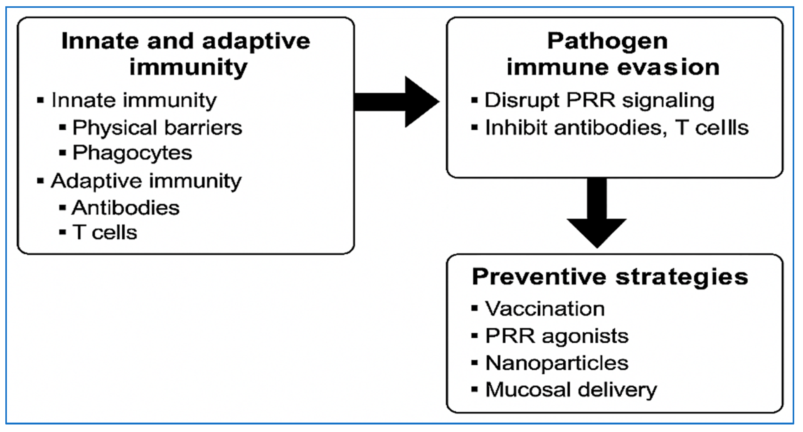 Vetsci 12 01014 g002