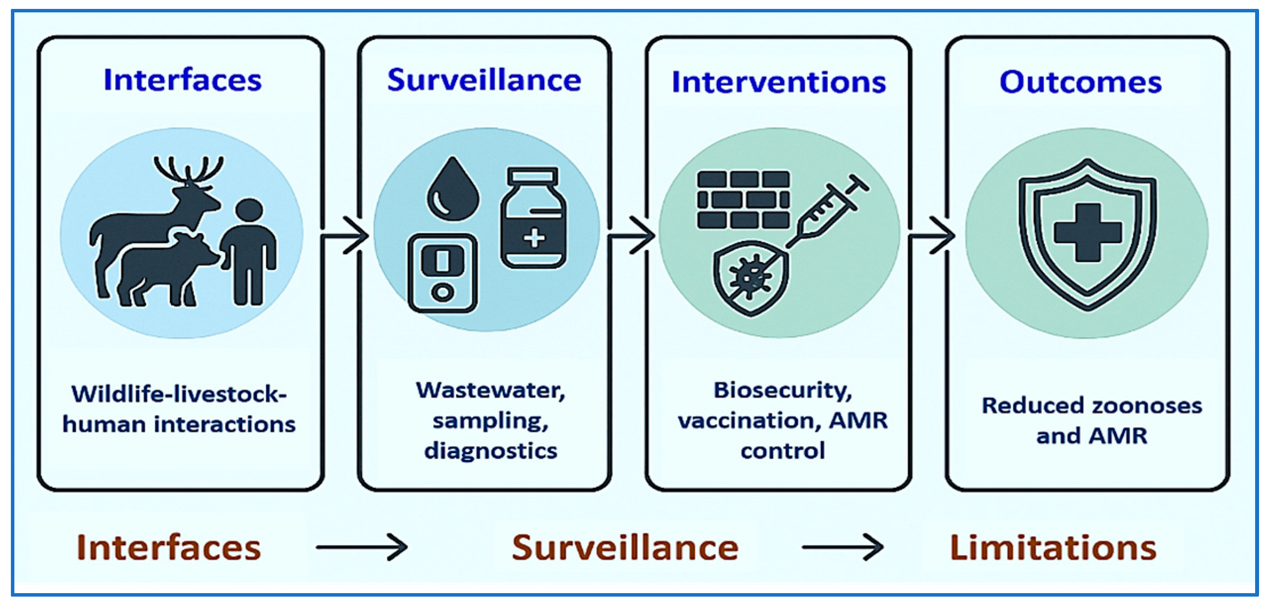 Vetsci 12 01014 g003