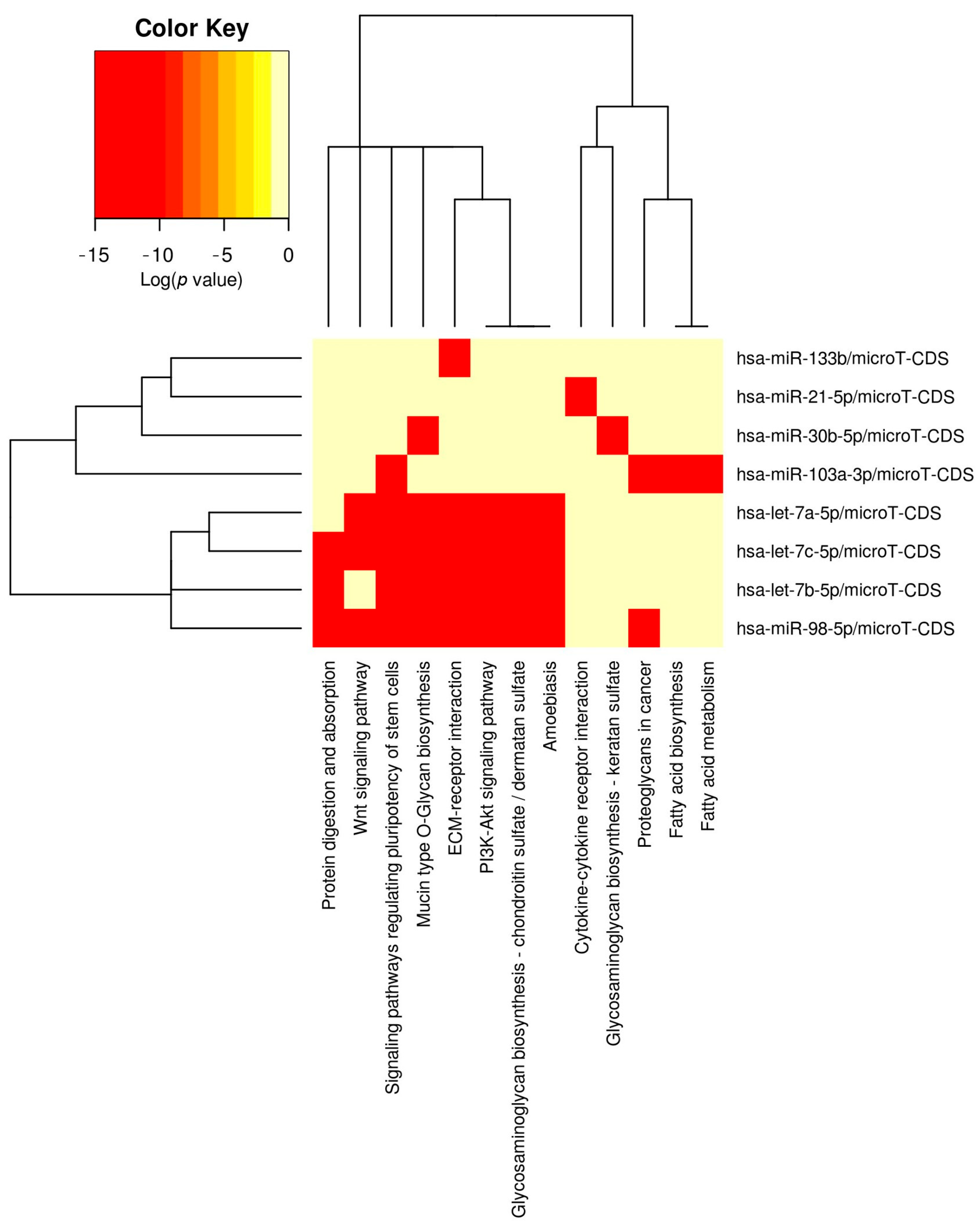 Vetsci 12 01029 g001