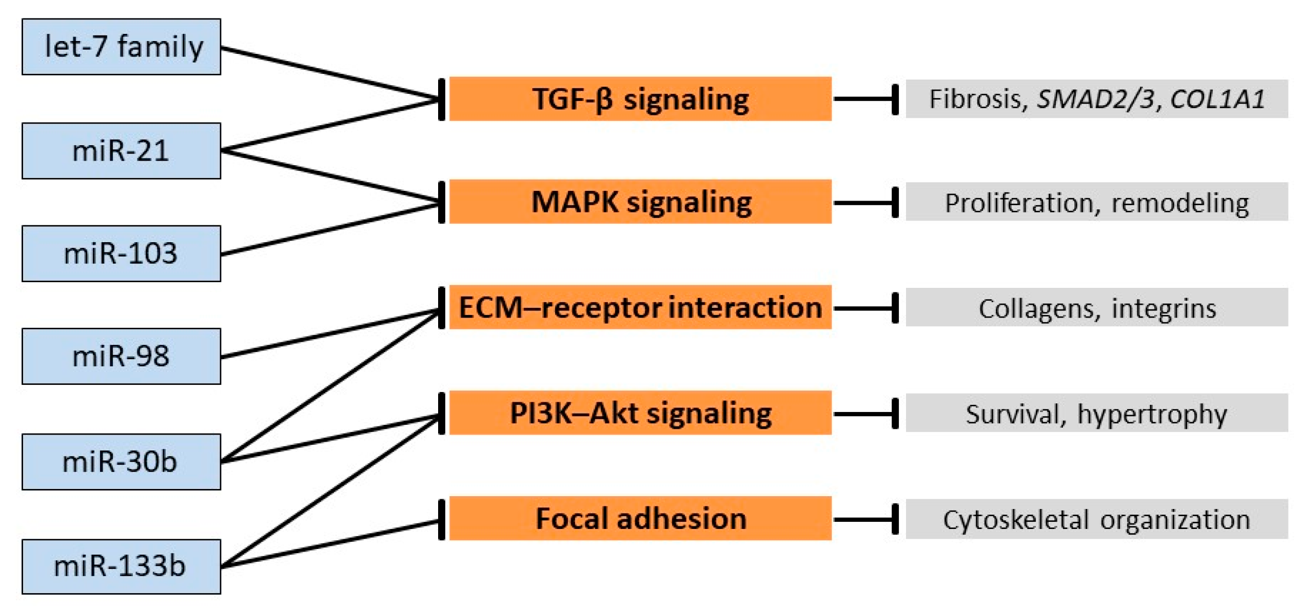 Vetsci 12 01029 g002