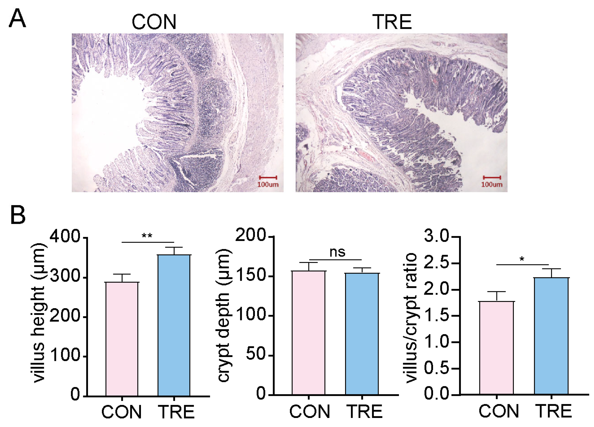 Vetsci 12 01034 g001