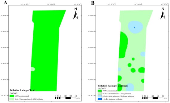 Vetsci 12 01042 g012