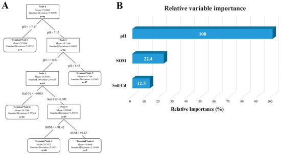 Vetsci 12 01042 g013