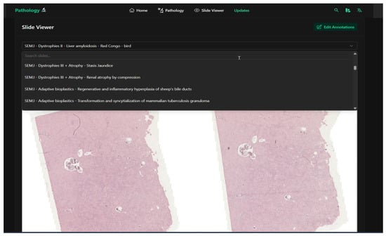 Vetsci 12 01064 g002