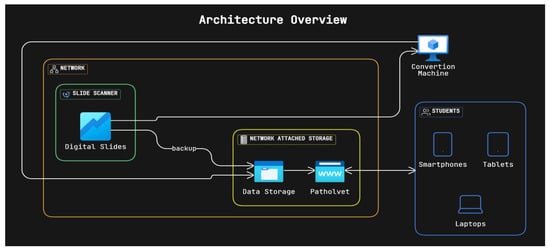 Vetsci 12 01064 g003