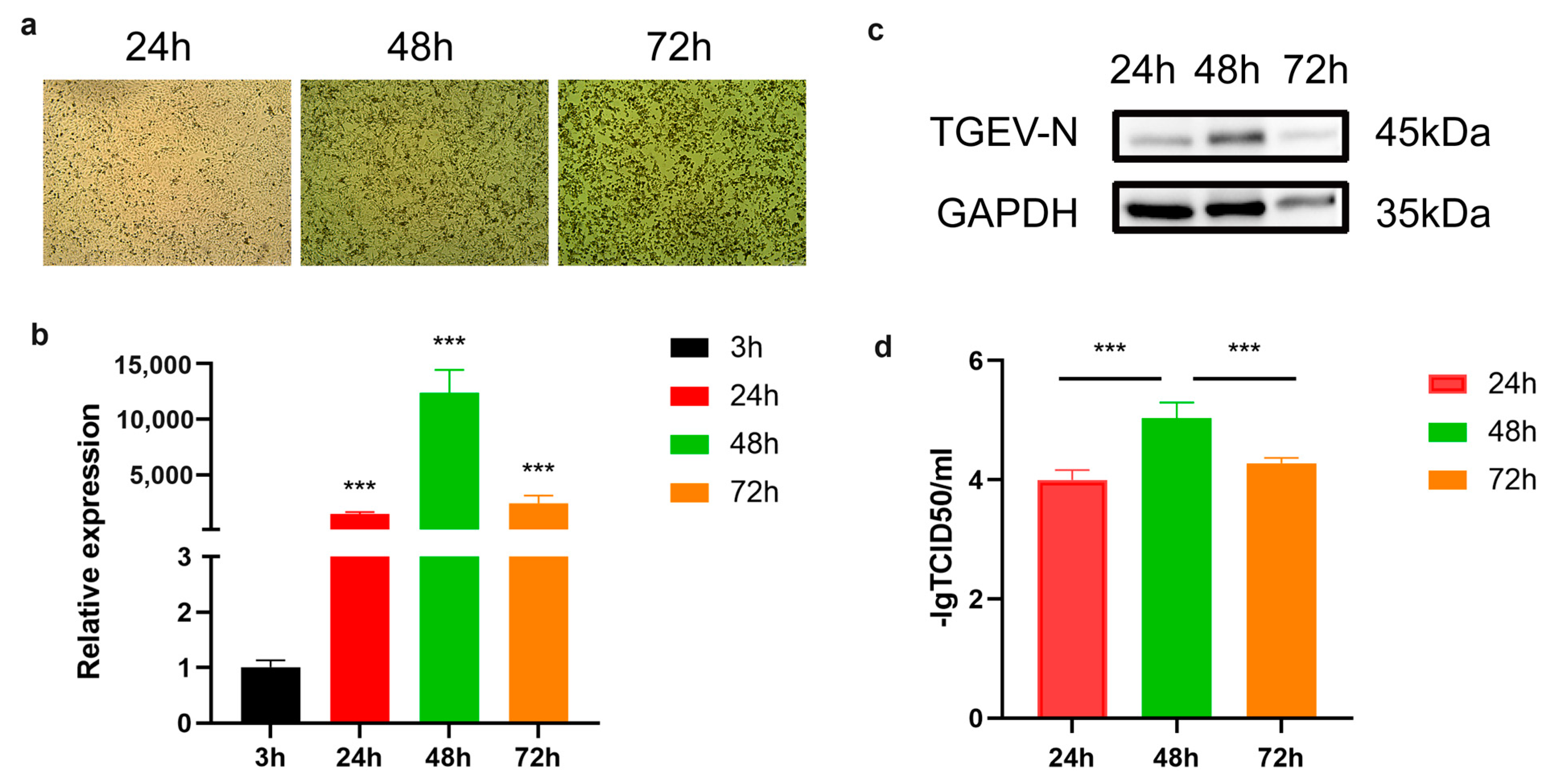 Vetsci 13 00010 g001