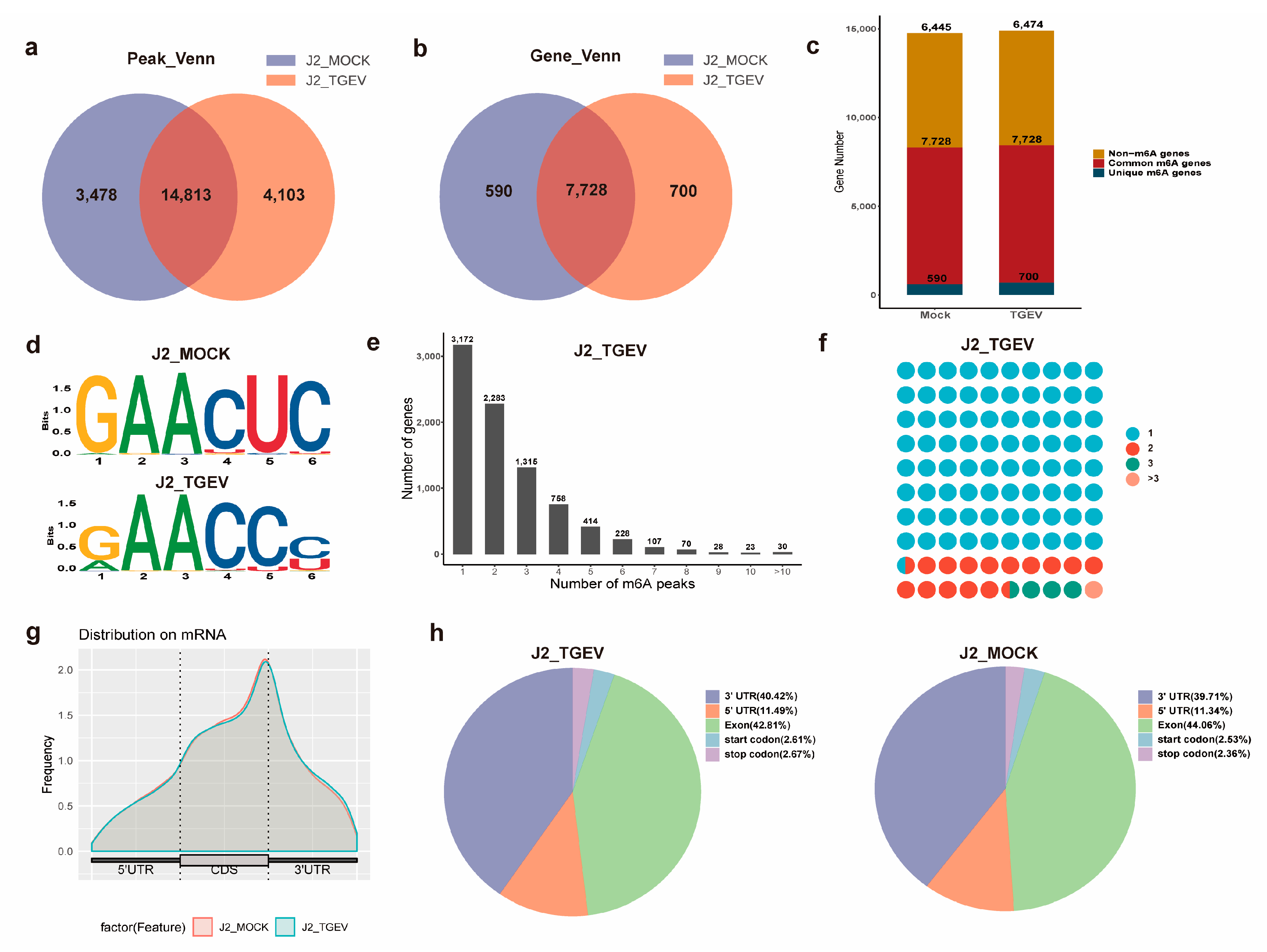 Vetsci 13 00010 g002