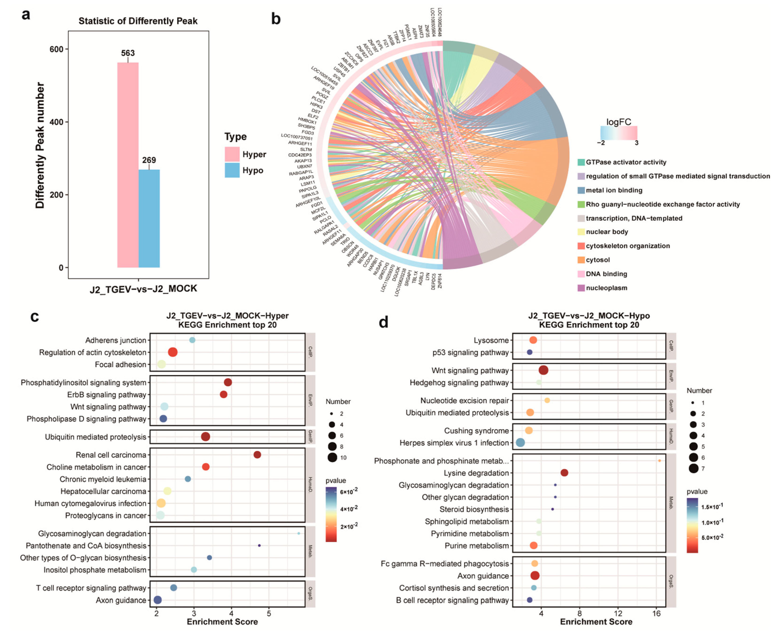 Vetsci 13 00010 g003