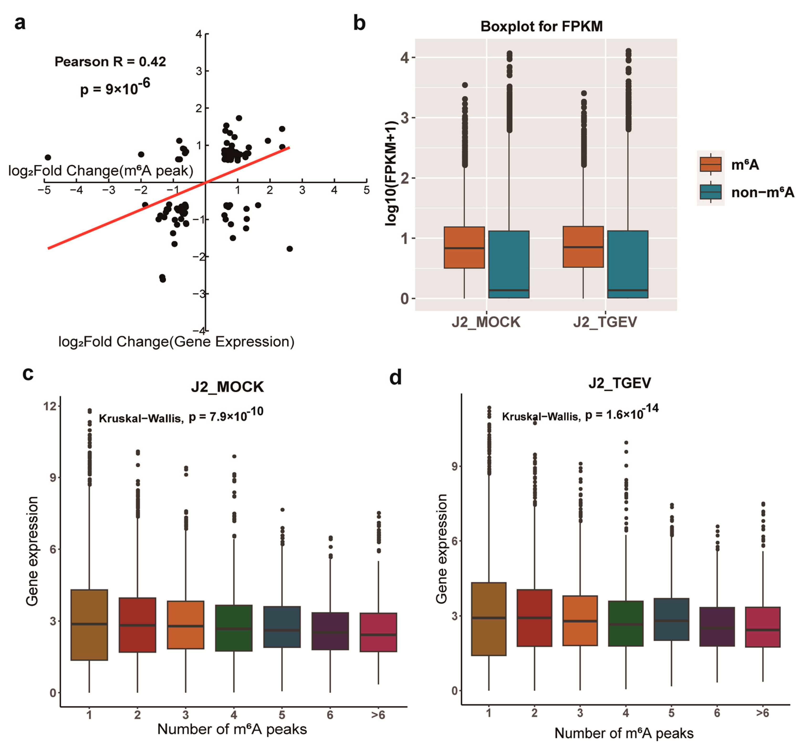 Vetsci 13 00010 g005