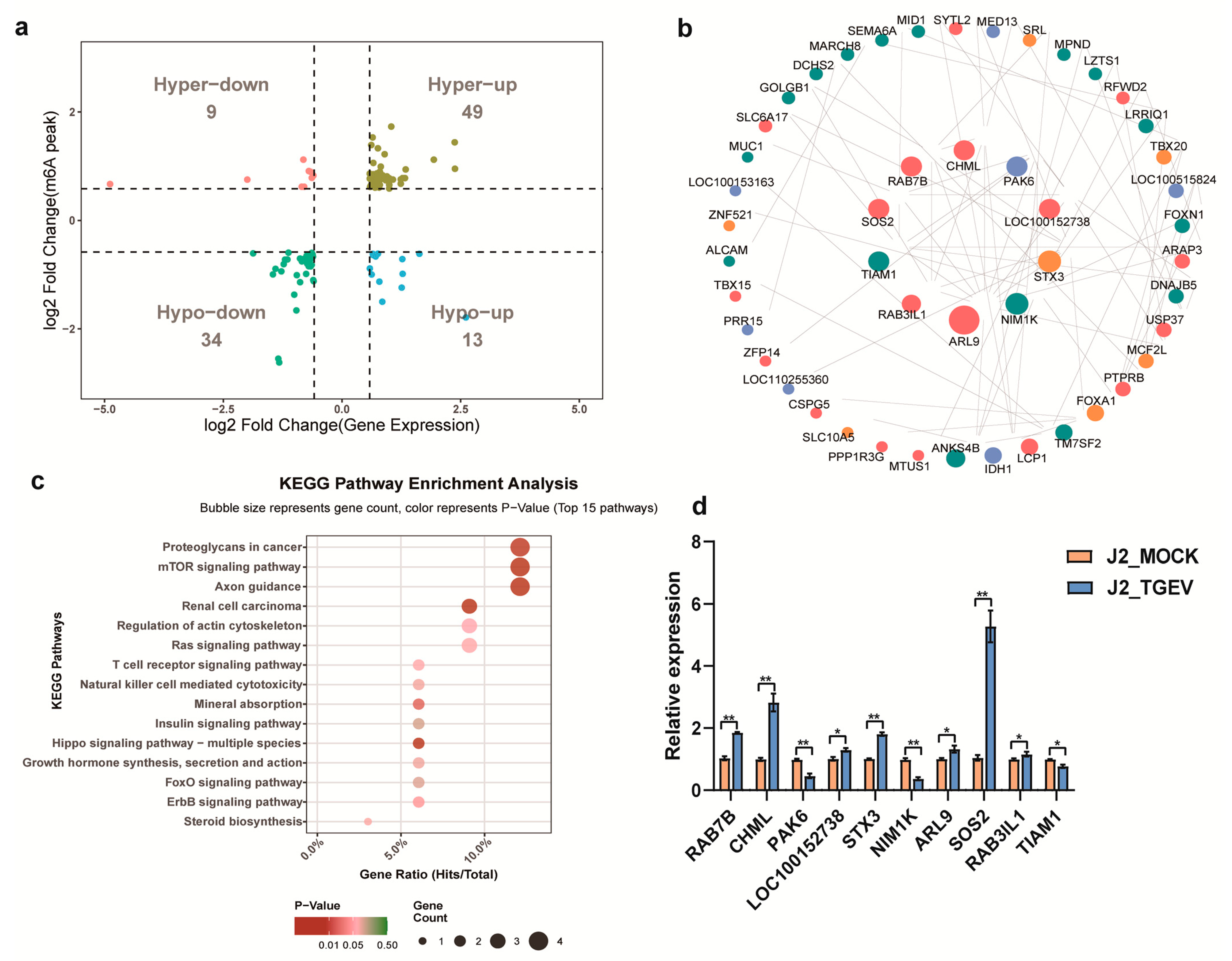Vetsci 13 00010 g006