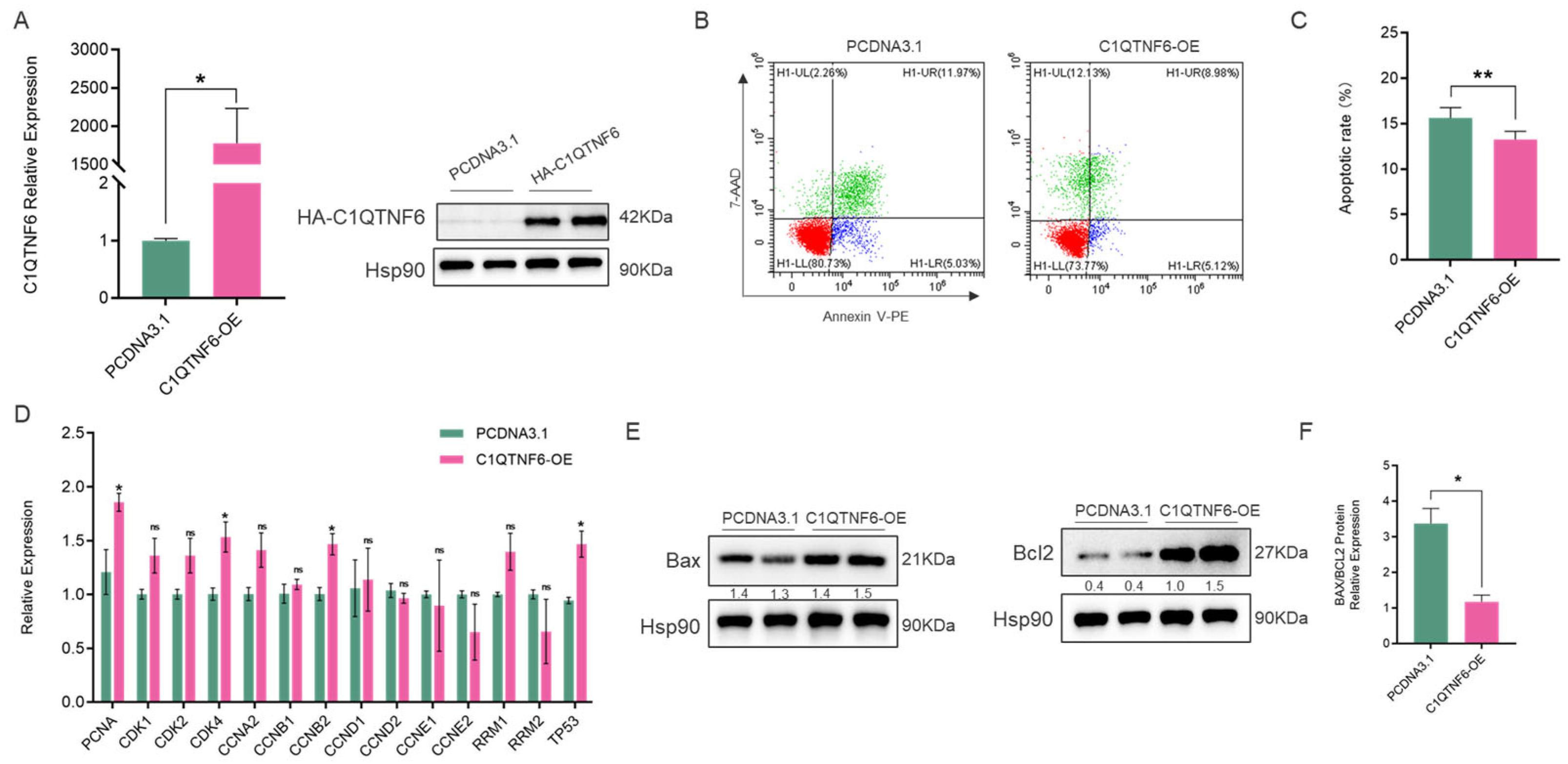 Vetsci 13 00011 g002