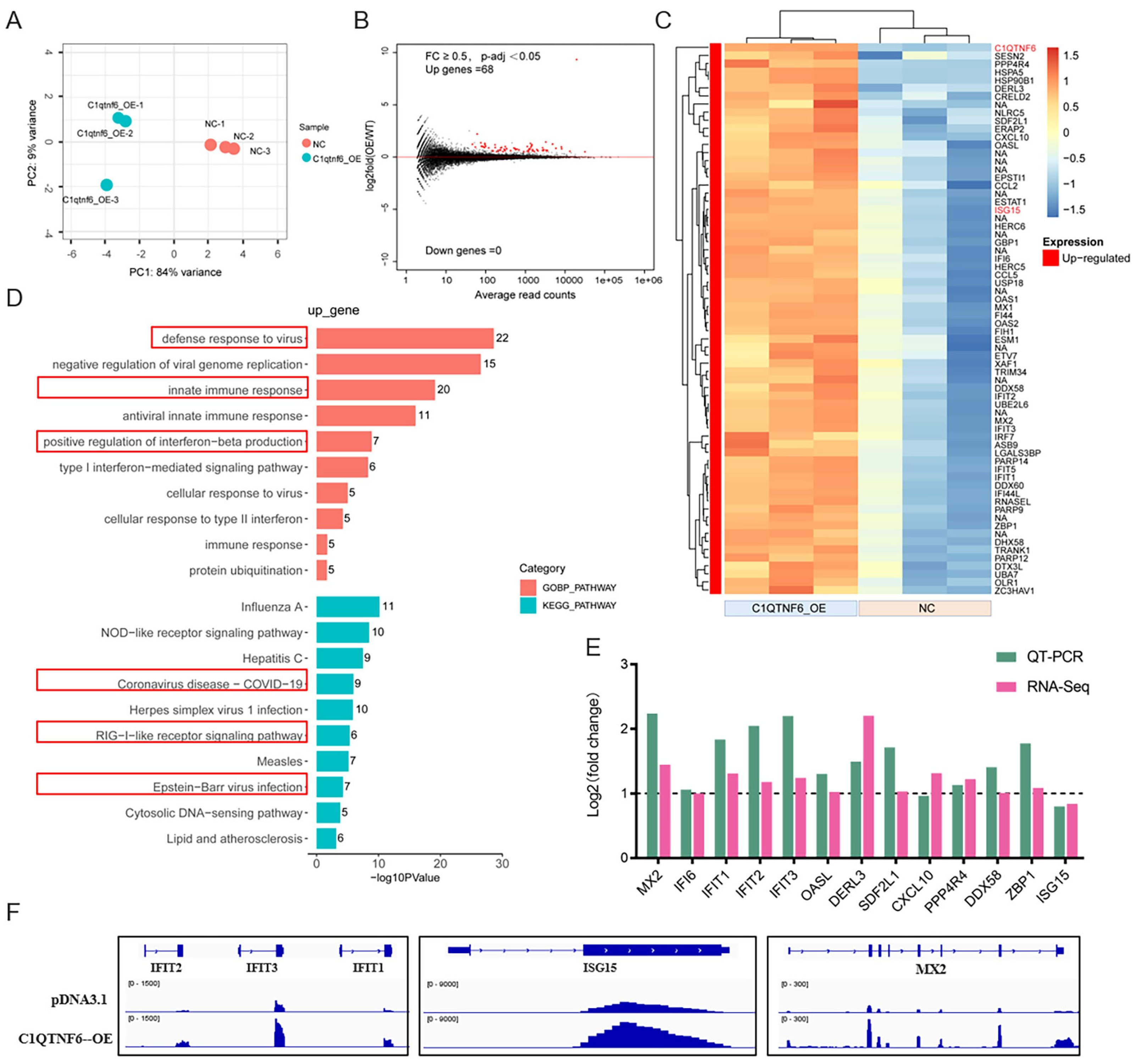 Vetsci 13 00011 g004