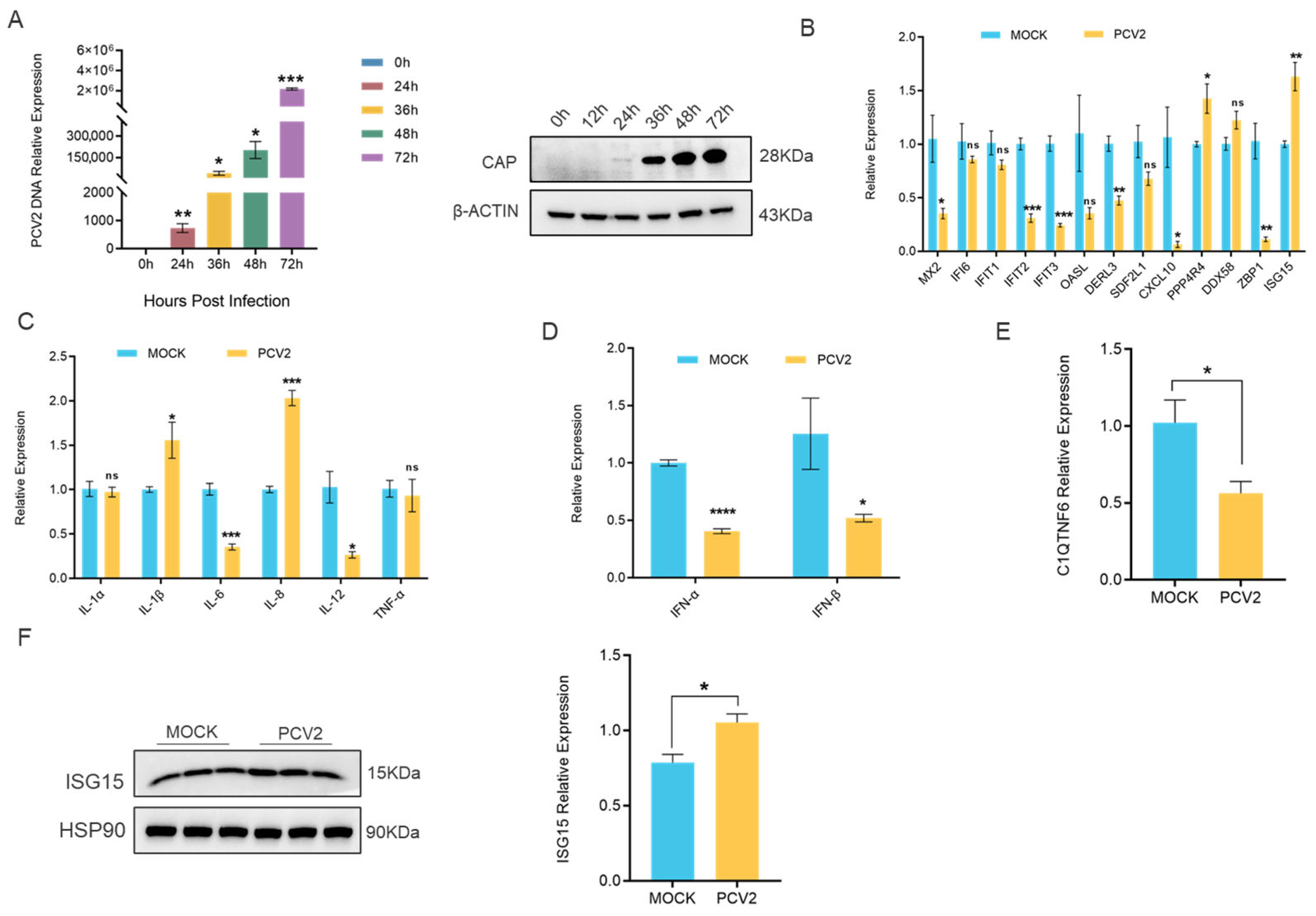Vetsci 13 00011 g005
