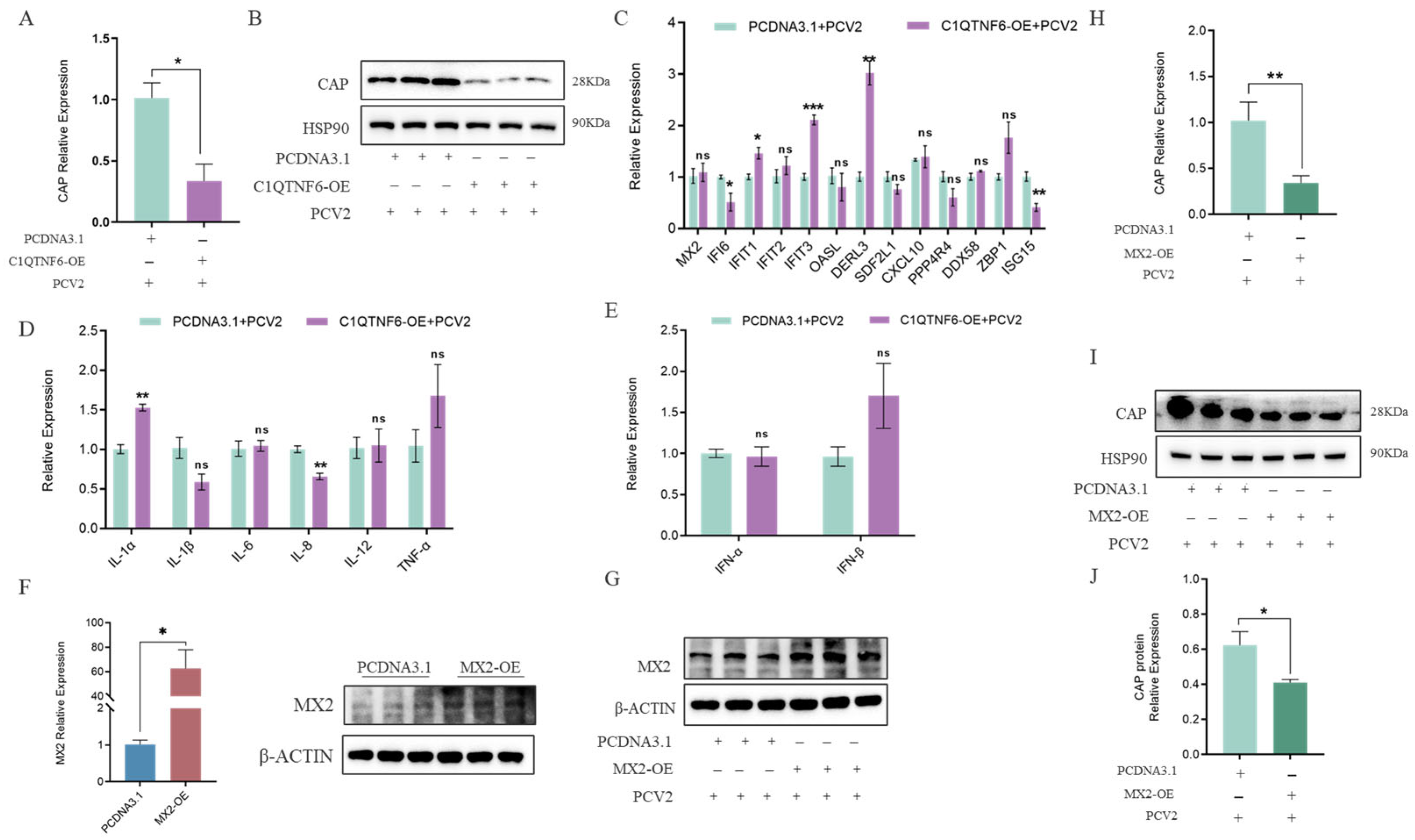 Vetsci 13 00011 g006
