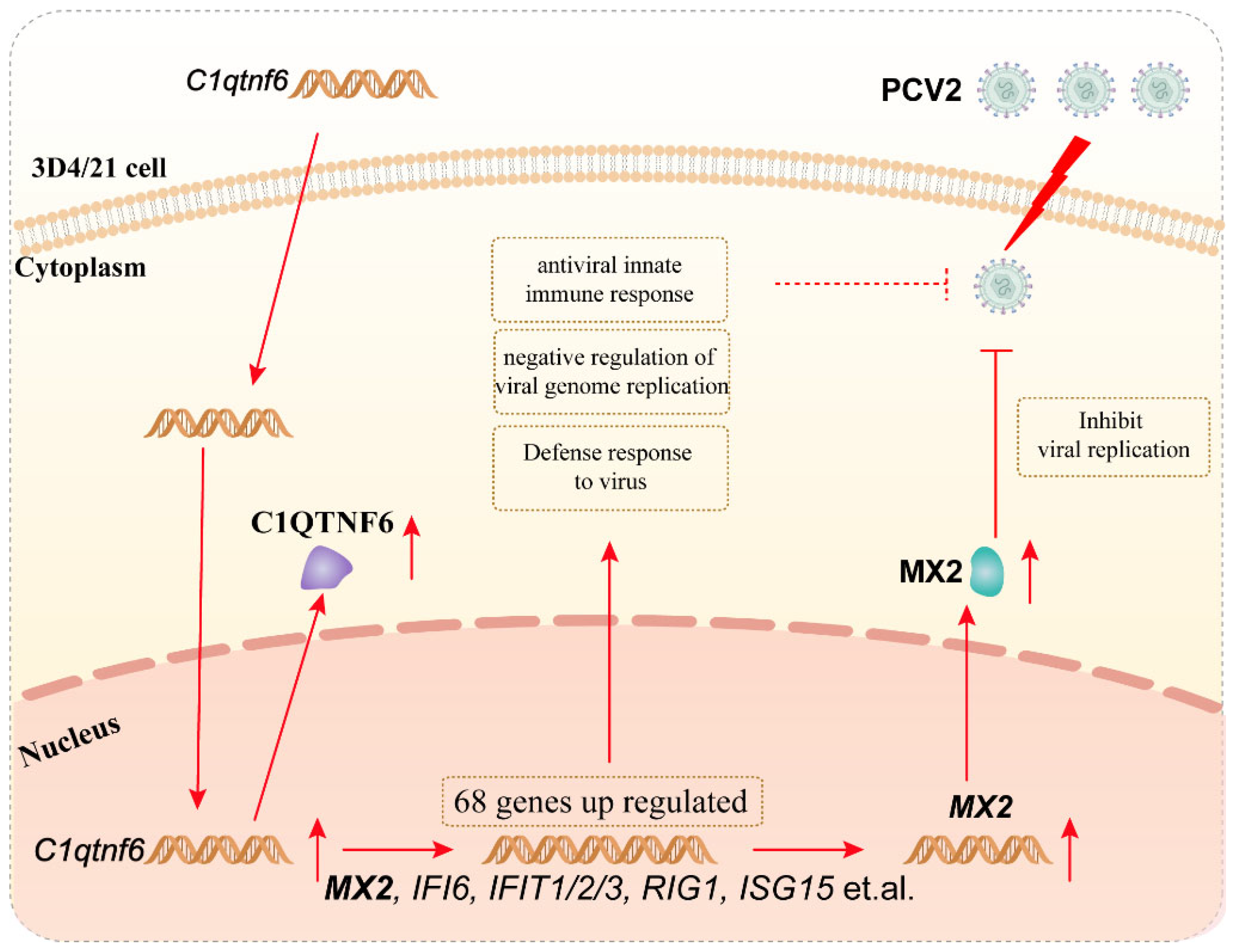 Vetsci 13 00011 g007