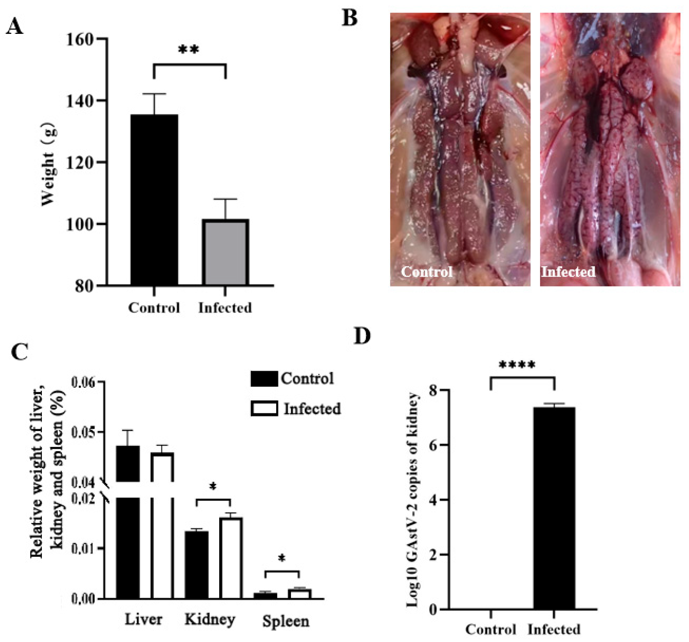 Vetsci 13 00015 g001