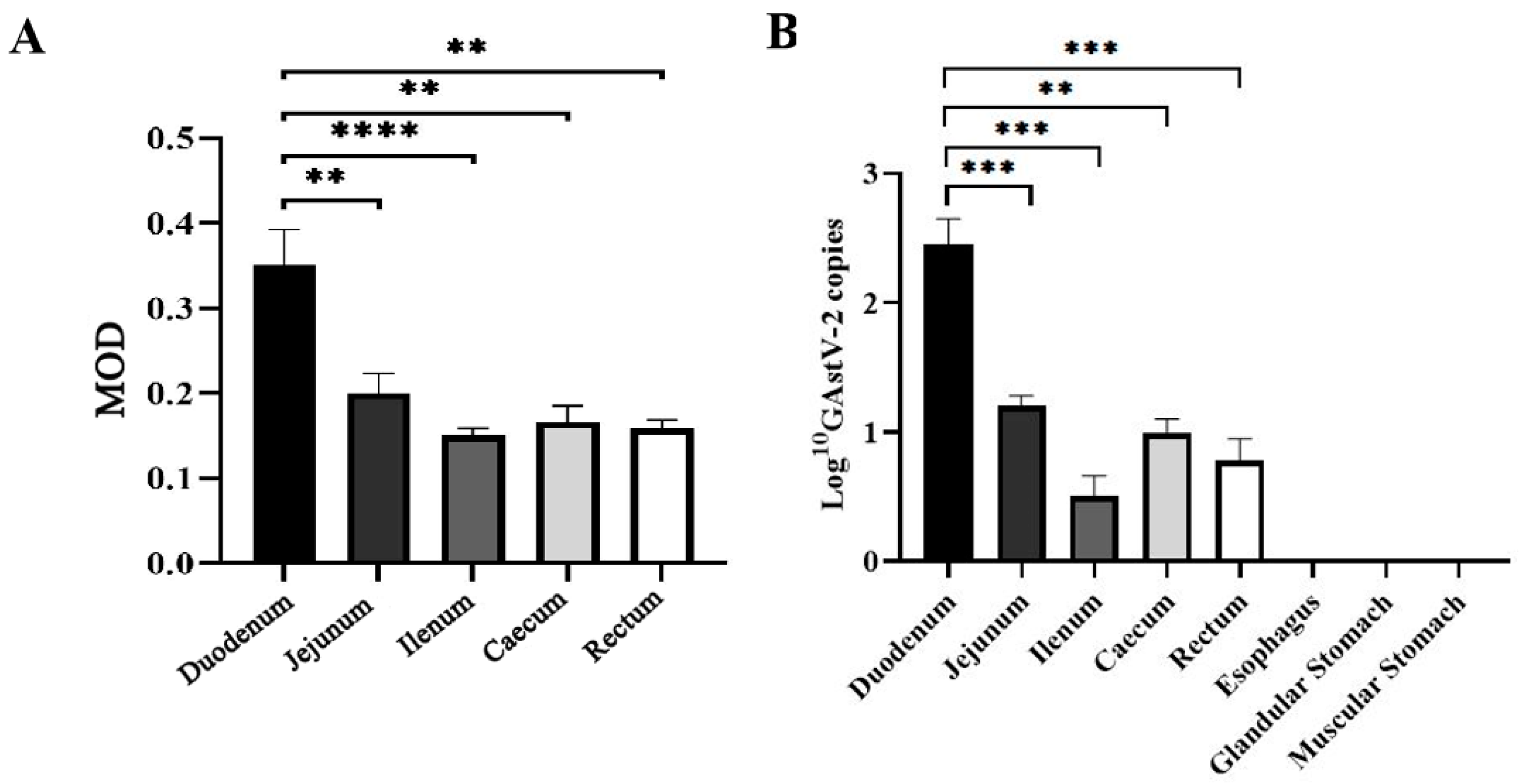 Vetsci 13 00015 g003