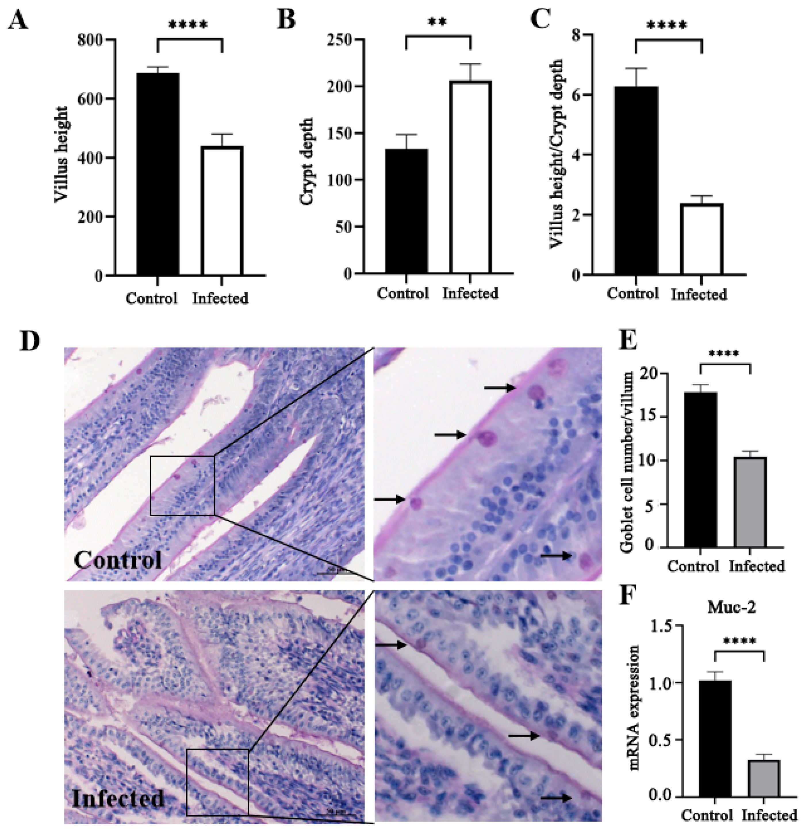 Vetsci 13 00015 g006