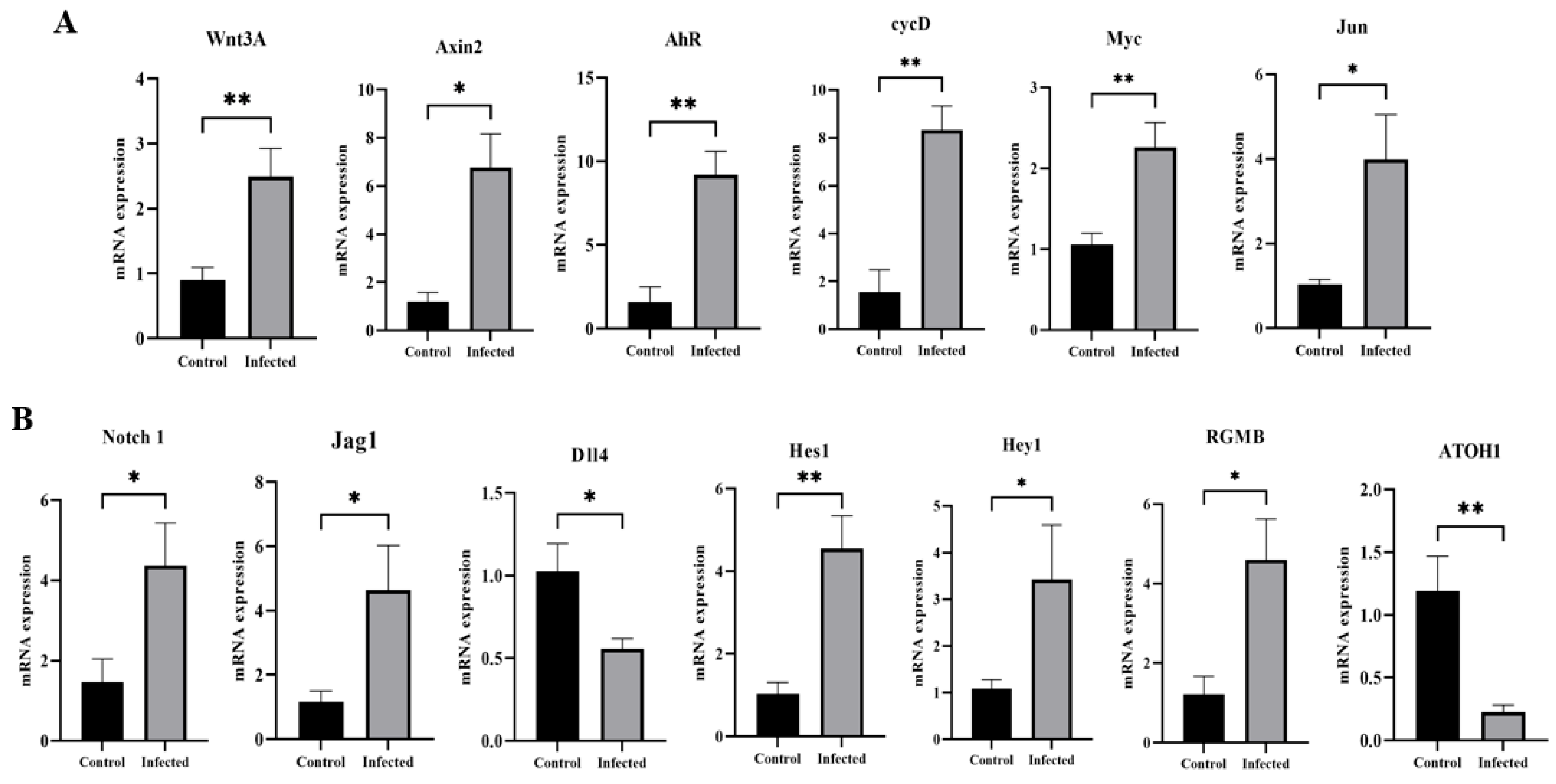 Vetsci 13 00015 g009