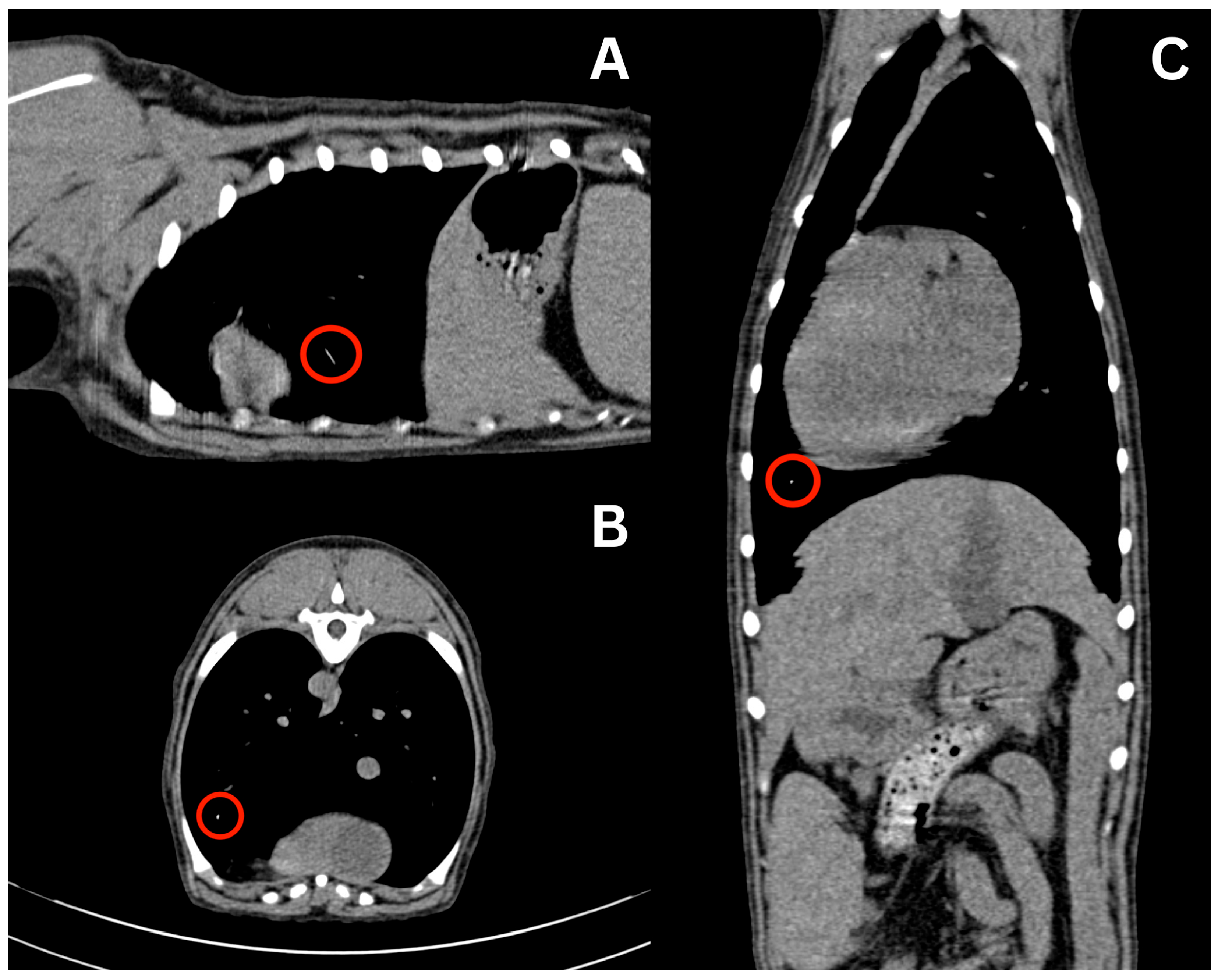 Vetsci 13 00017 g002