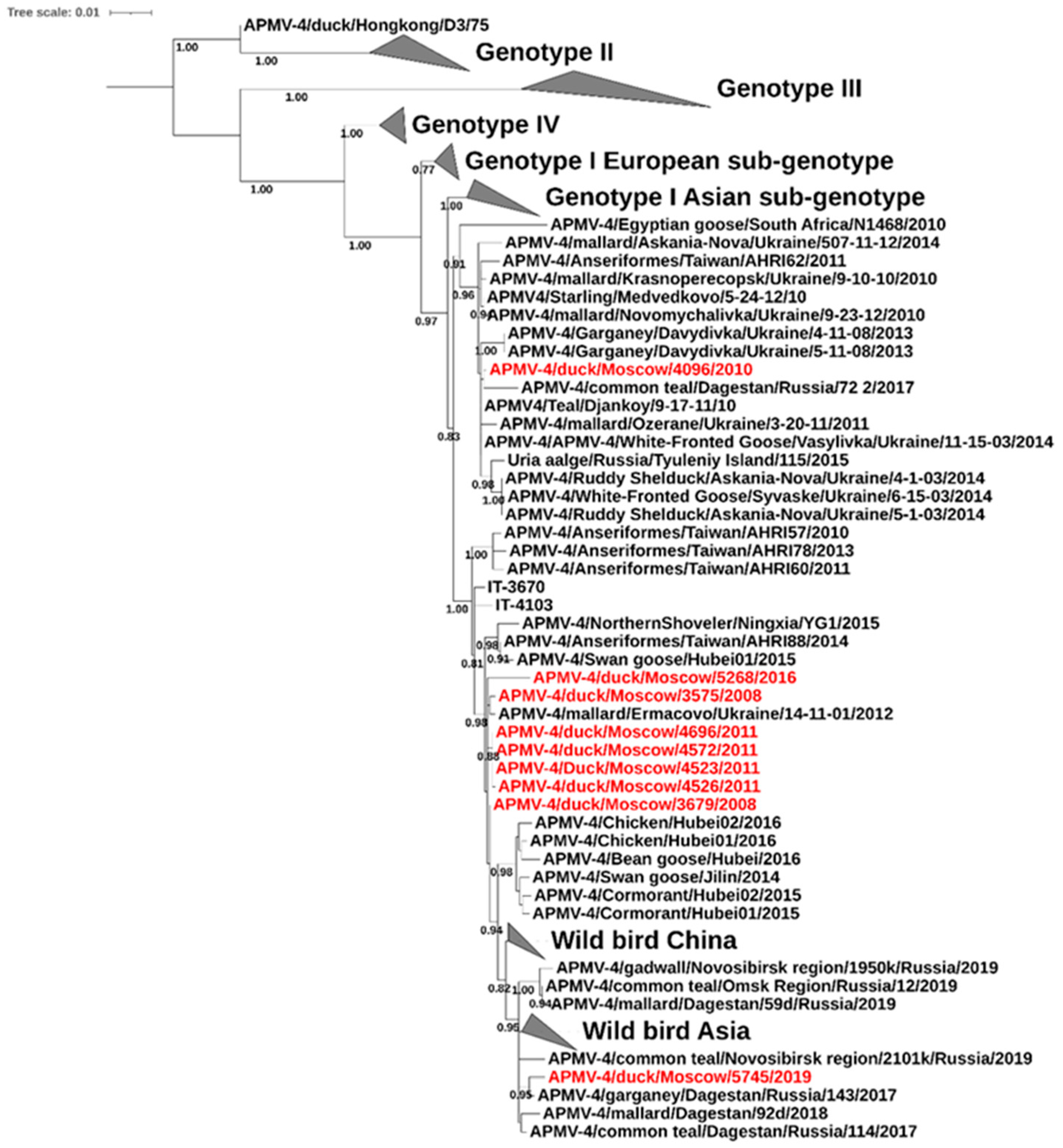 Vetsci 13 00023 g003